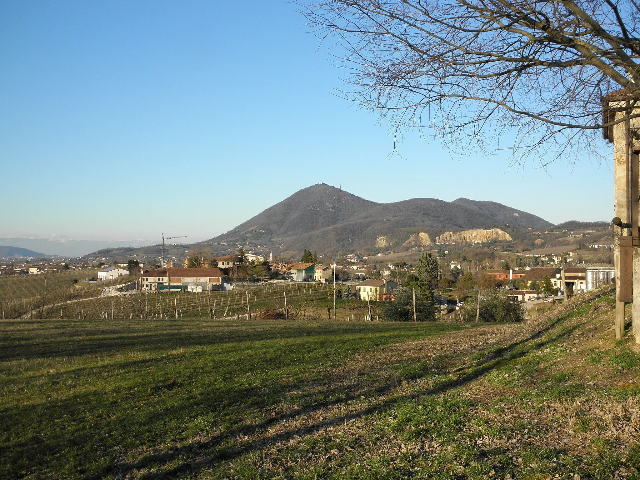 Photo showing: Panorama dei Colli Euganei: Monte Altore e, dietro, Monte Madonna, da Cortelà, Vo'