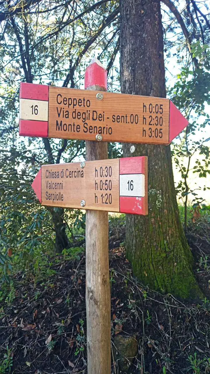 Photo showing: Segnavia Sentiero CAI 616, sezione di Sesto Fiorentino, posto in Monte Morello in via delle Palaie