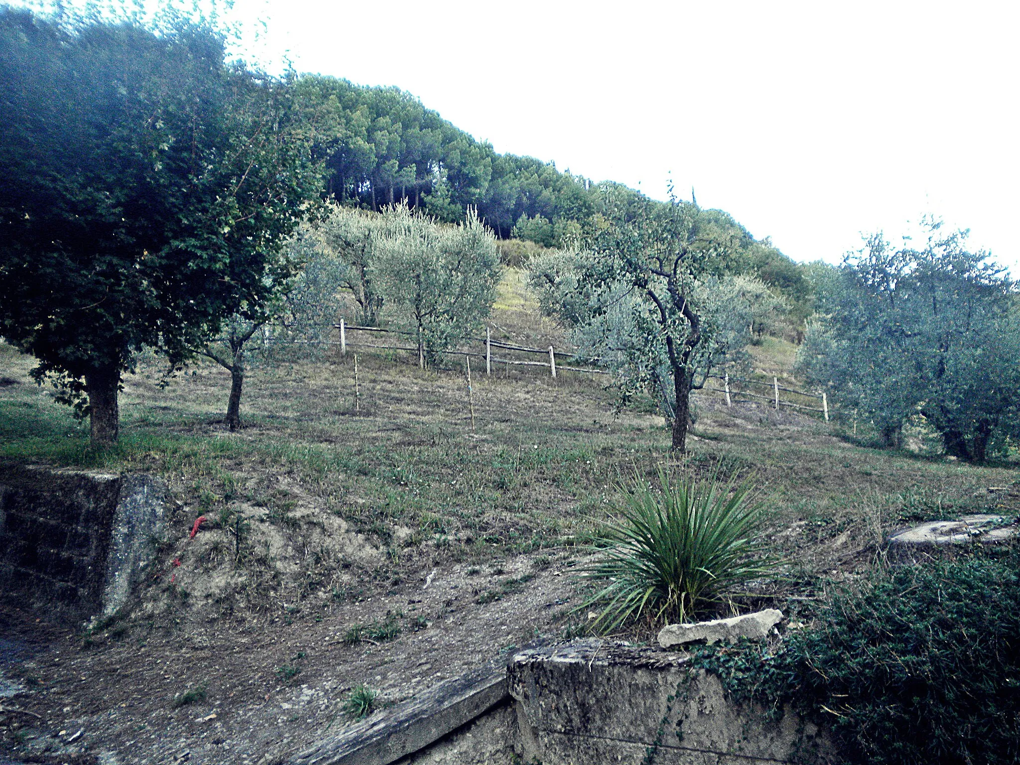 Photo showing: landscape