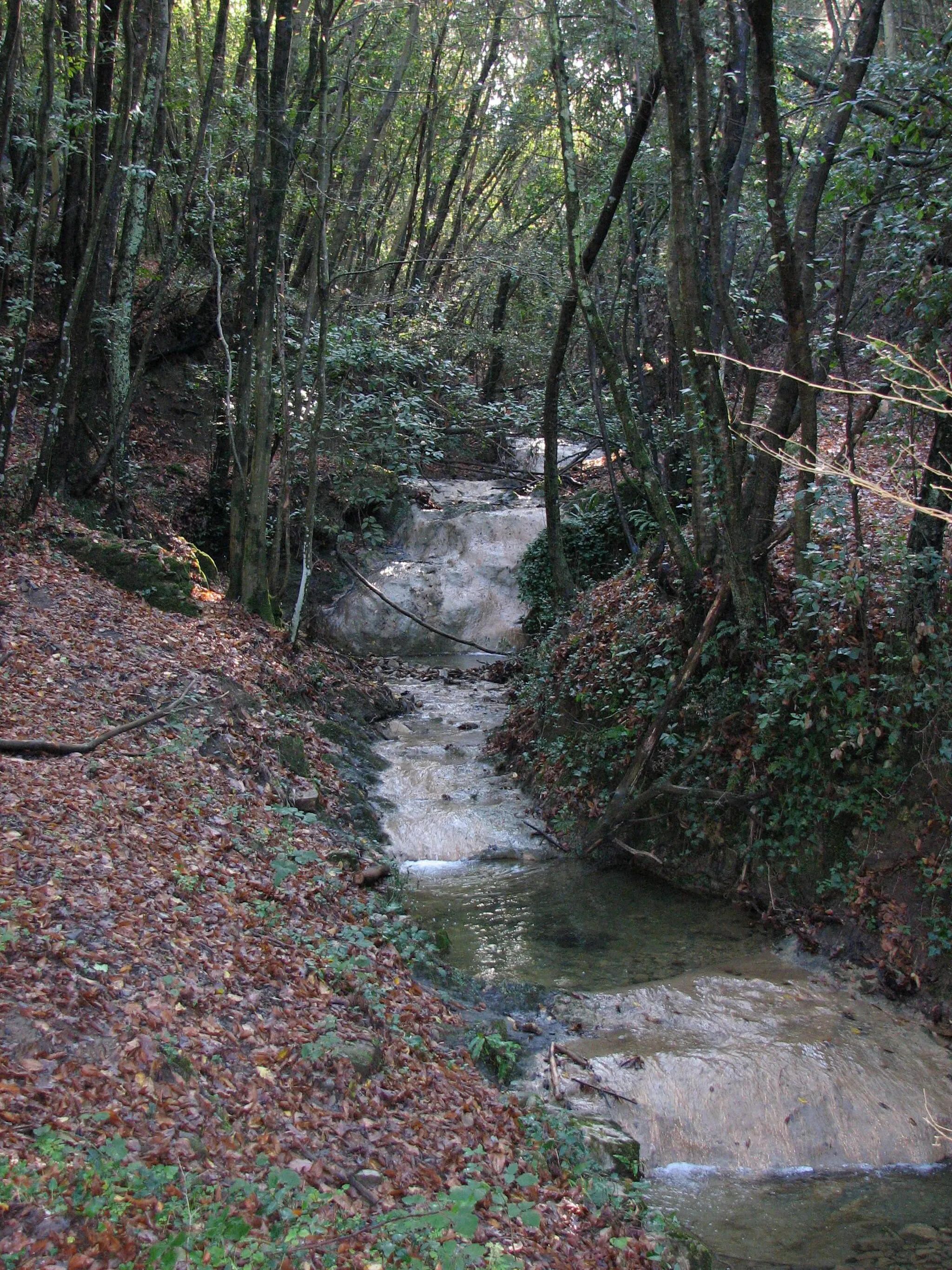 Photo showing: Torrente Ugione (Italy)