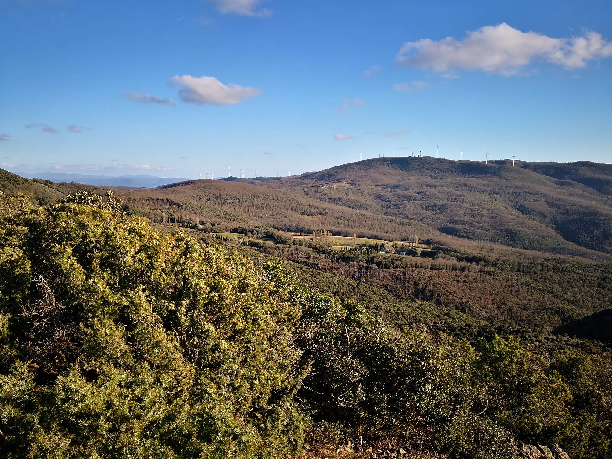 Photo showing: Vista verso sud dai monti di Pomaia, in particolare sull'anticima occidentale del Monte I Grottoni a 568 m.s.l.m.
I principali rilievi visibili nella foto, da sinistra a destra, sono i seguenti: -) sullo sfondo, il poggio di Montieri e le Cornate di Gerfalco; -) il parco eolico di Riparbella e, sullo sfondo, il Monte di Canneto; -) il Monte Vitalba con il relativo parco eolico; il Poggio Pianacce.