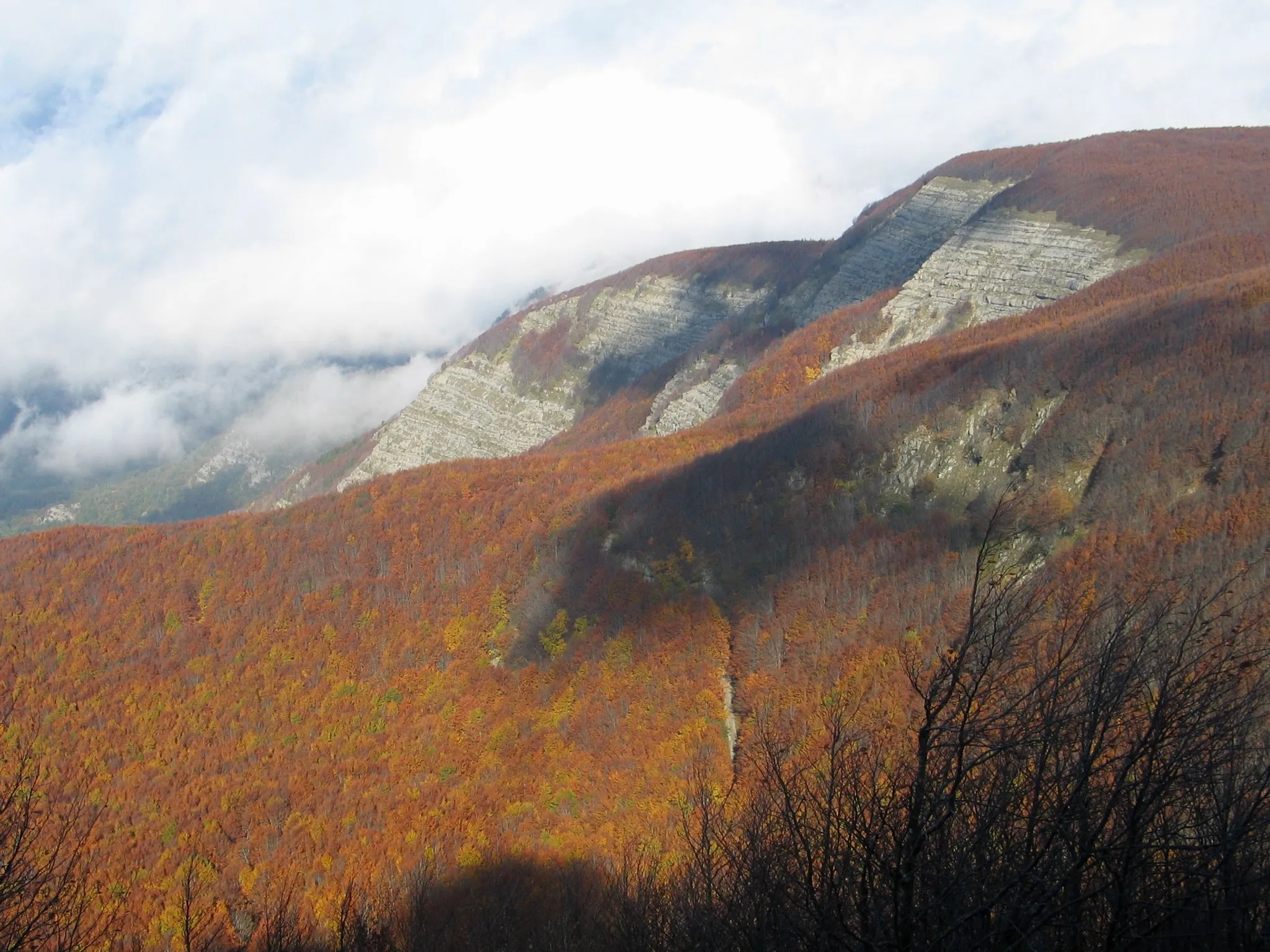 Photo showing: Monte Falterona, Italy