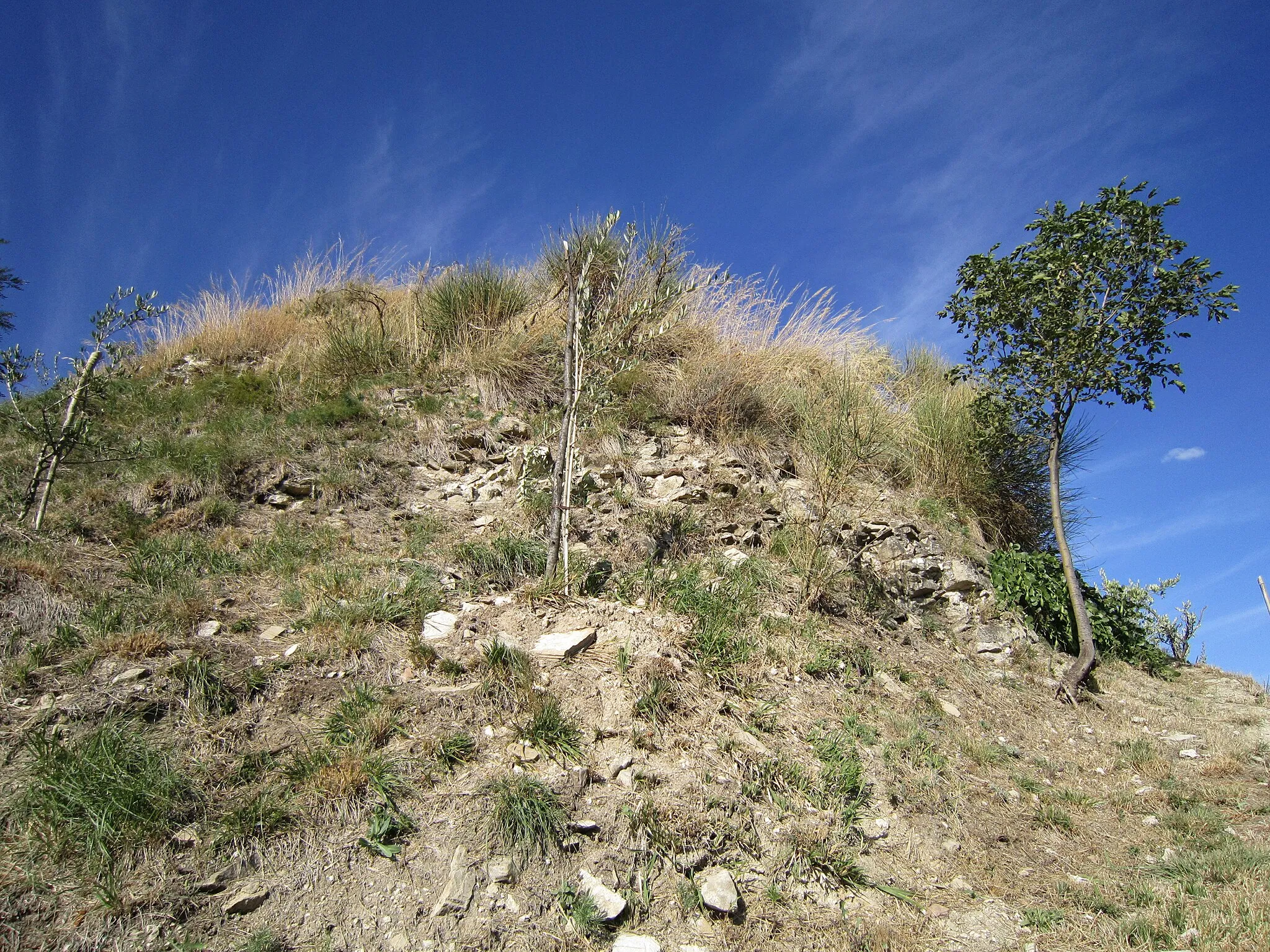 Photo showing: Resti del castello di Calboli, foto propria