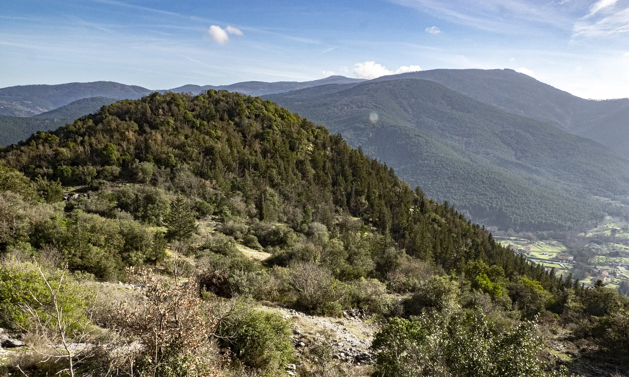 Photo showing: La cima di Monte Cotrozzi presso Santa Maria del Giudice, Lucca.