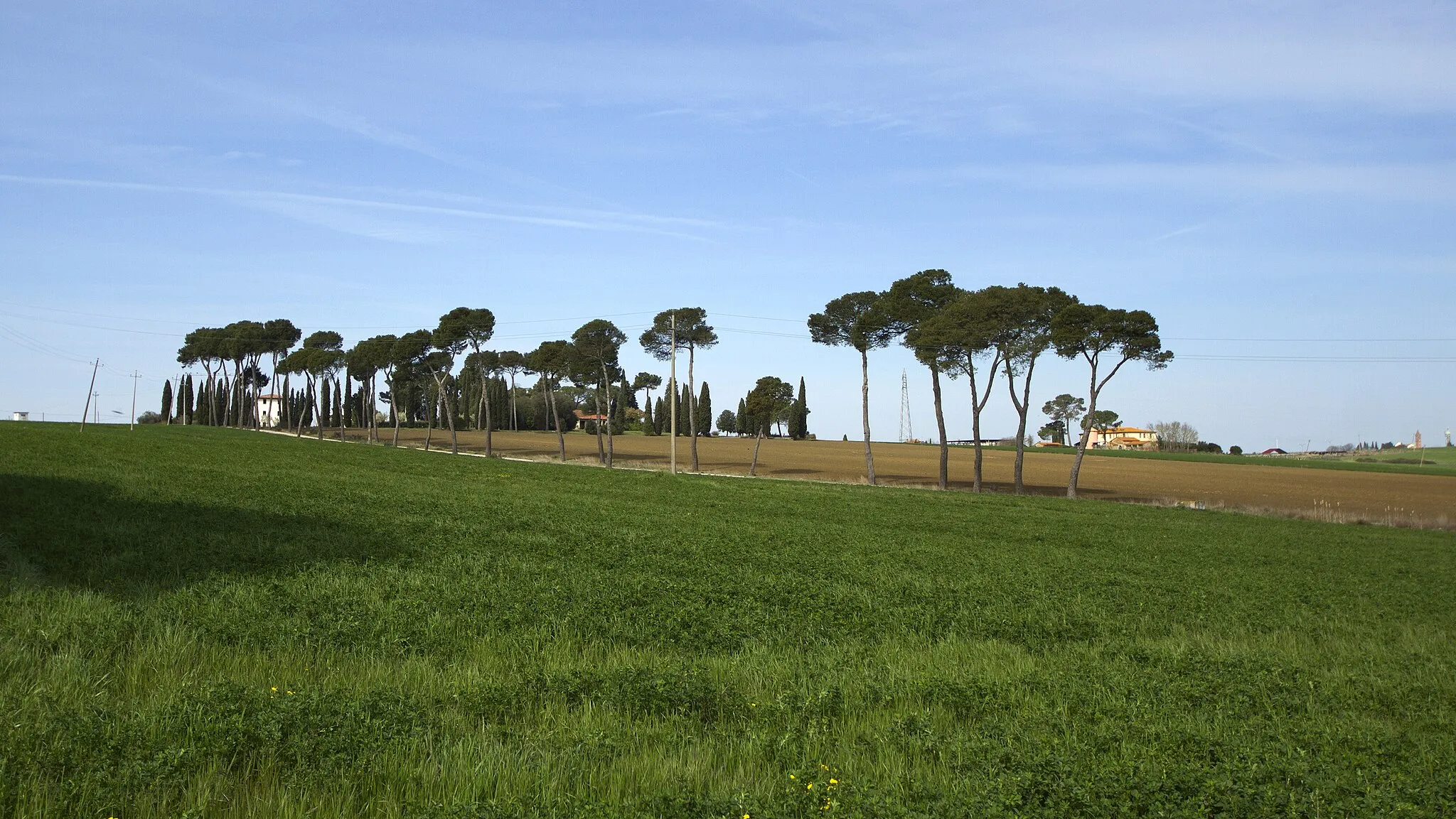 Photo showing: Castiglione del Lago, Province of Perugia, Italy