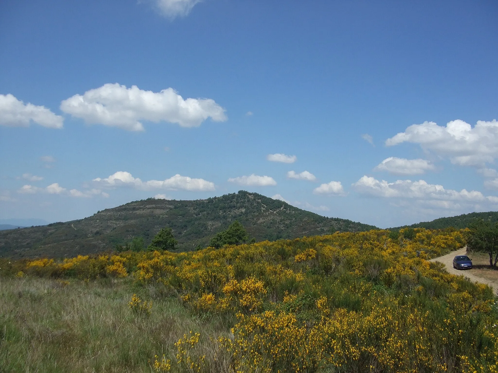 Photo showing: Cavadenti da Castiglion Maggio