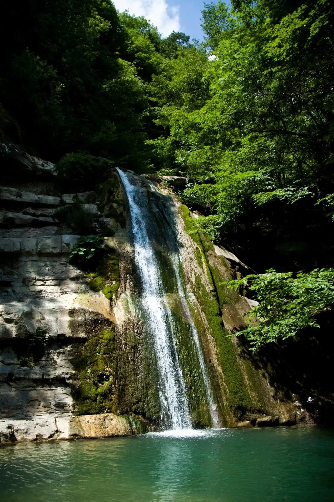 Photo showing: parco nazionale delle Foreste Casentinesi, Monte Falterona e Campigna (Q1787671)