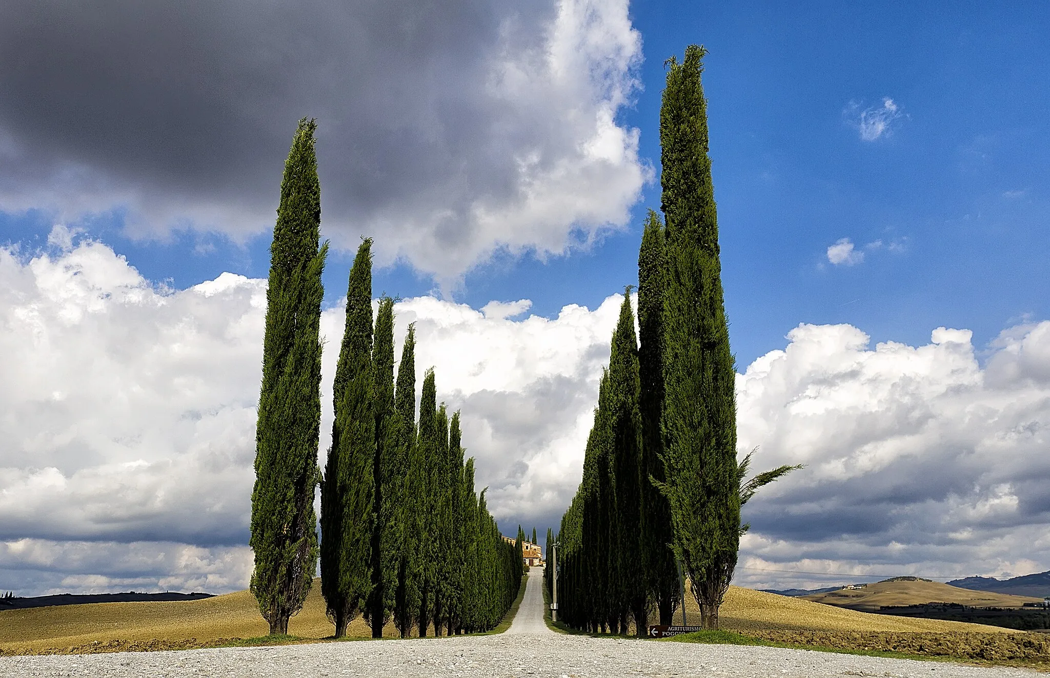 Photo showing: Cypress avenue leading to a farmhouse at the Via Cassia in the Val d’Orcia, southeast of San Quirico d’Orcia, Tuscany, Italy.