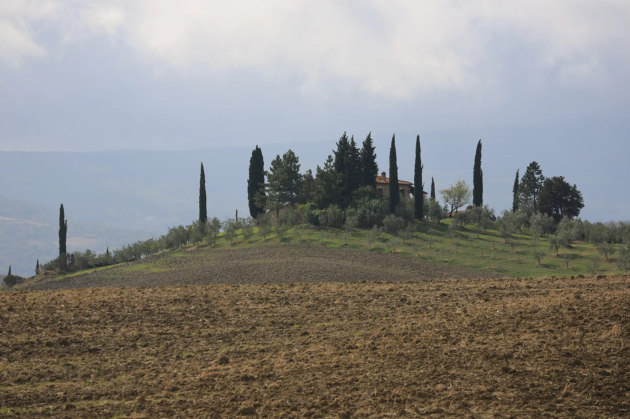 Photo showing: View of Val d'Orcia