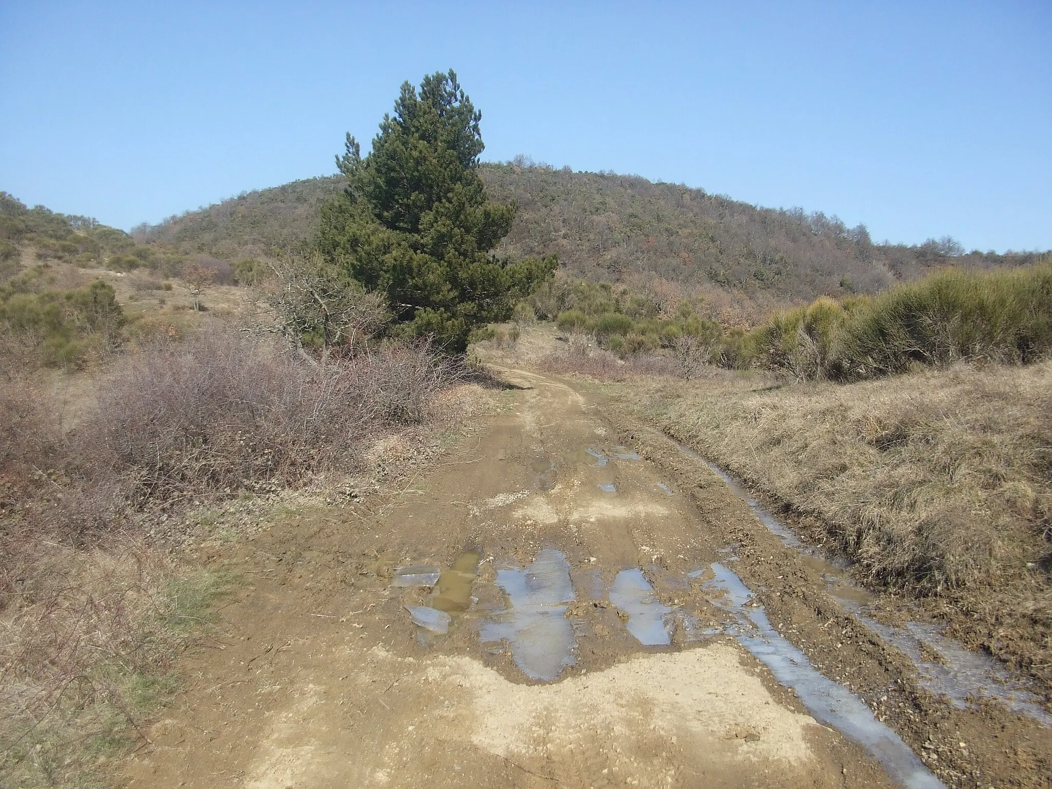 Photo showing: Sentiero 50 nei pressi del bivio di Valuberti
