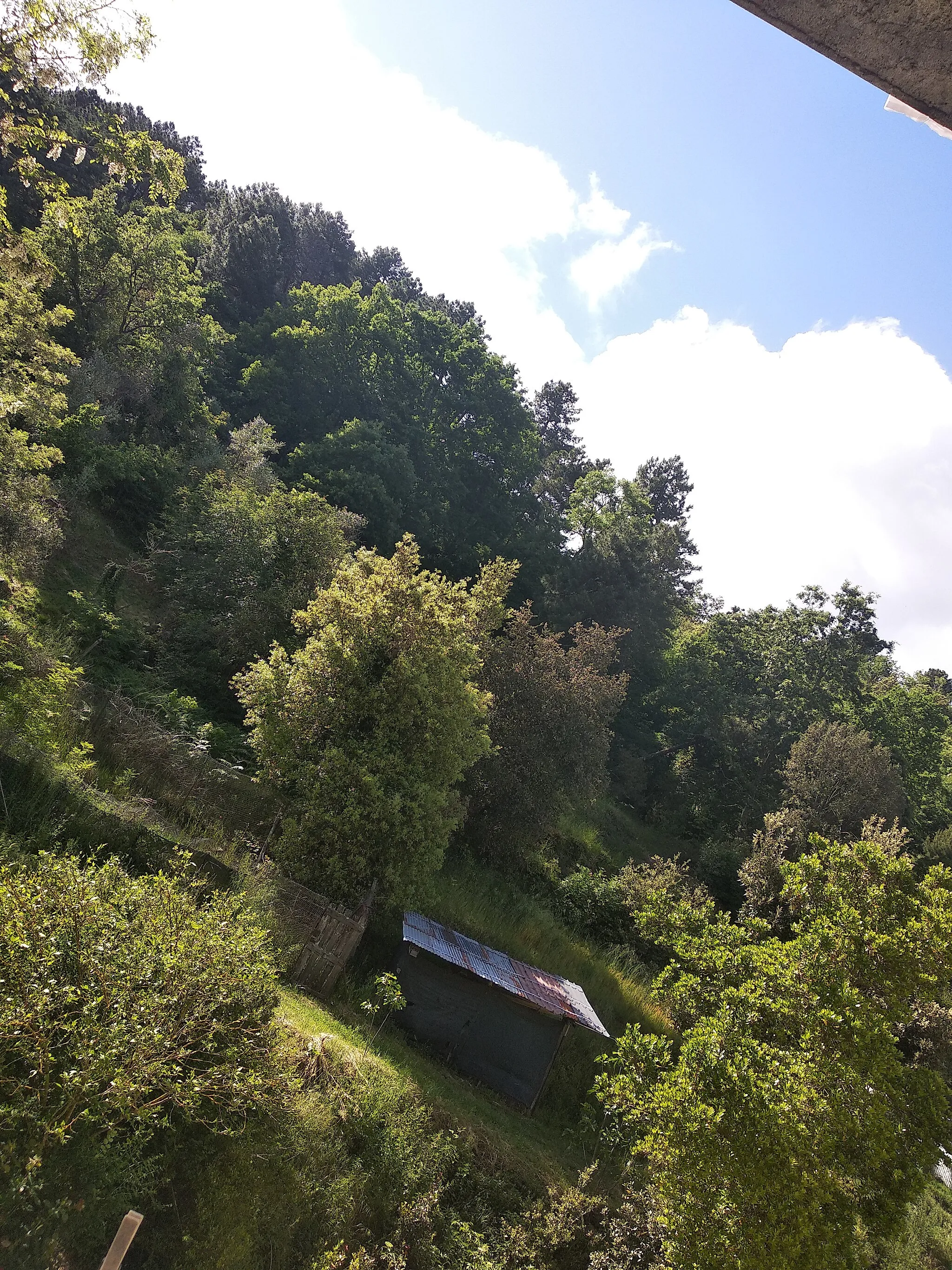 Photo showing: Chianni PI, a beautiful place, a amazing picture of how a unique and peaceful place looks like ....