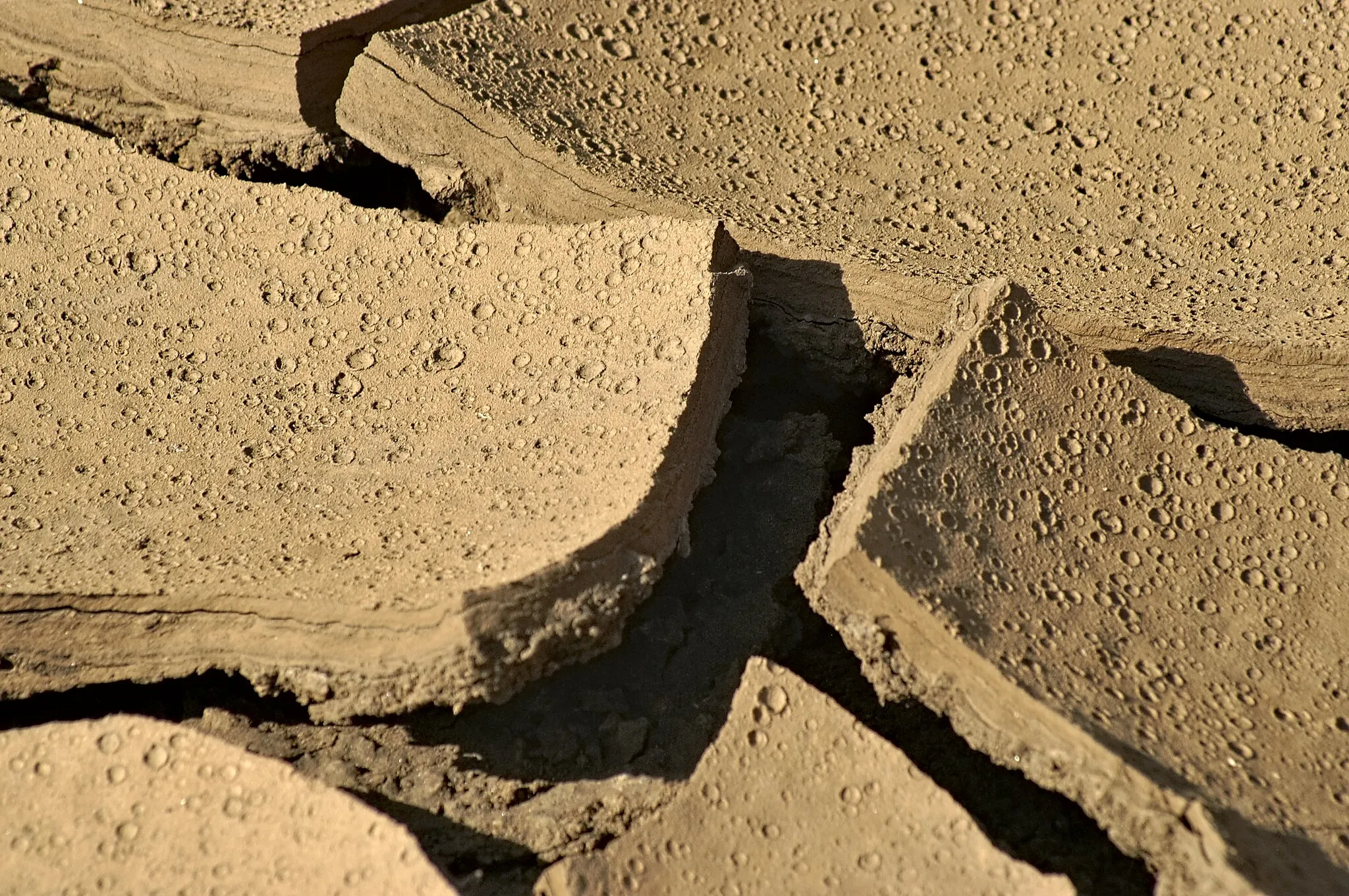 Photo showing: Desiccation cracks with imprints of raindrops at Calamita Peninsula, Italy