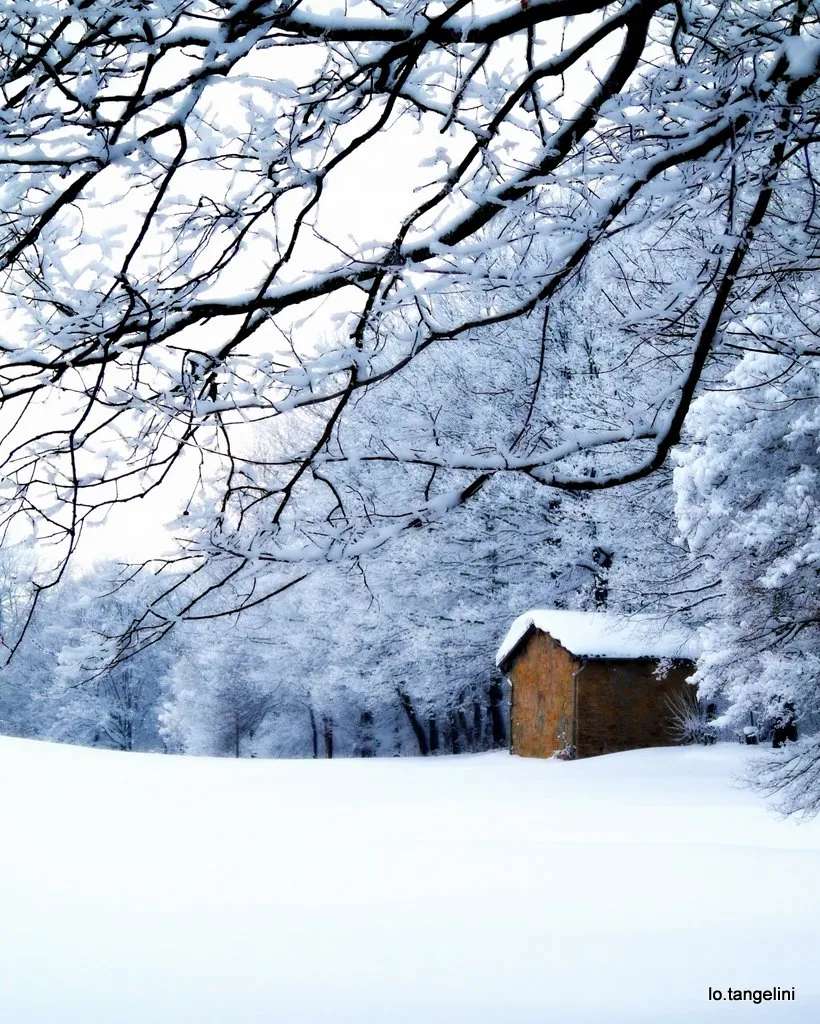 Photo showing: Apennino Modenese