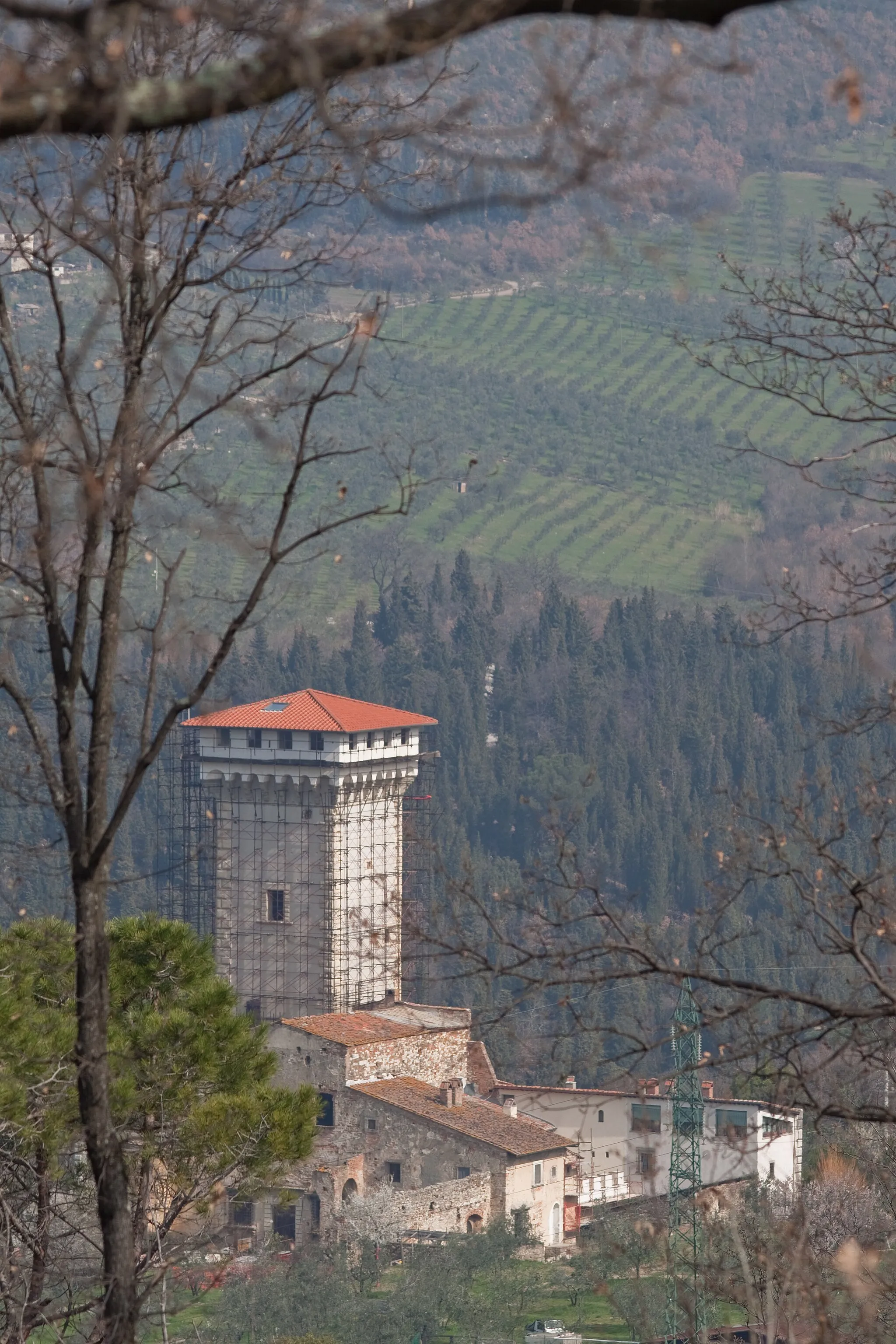 Photo showing: Vista della torre di Baroncoli