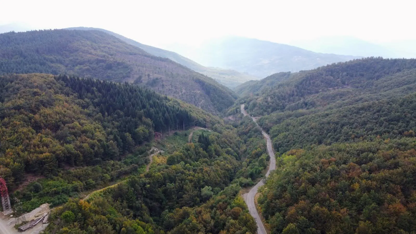 Photo showing: Passo Brattello e la foresta intorno