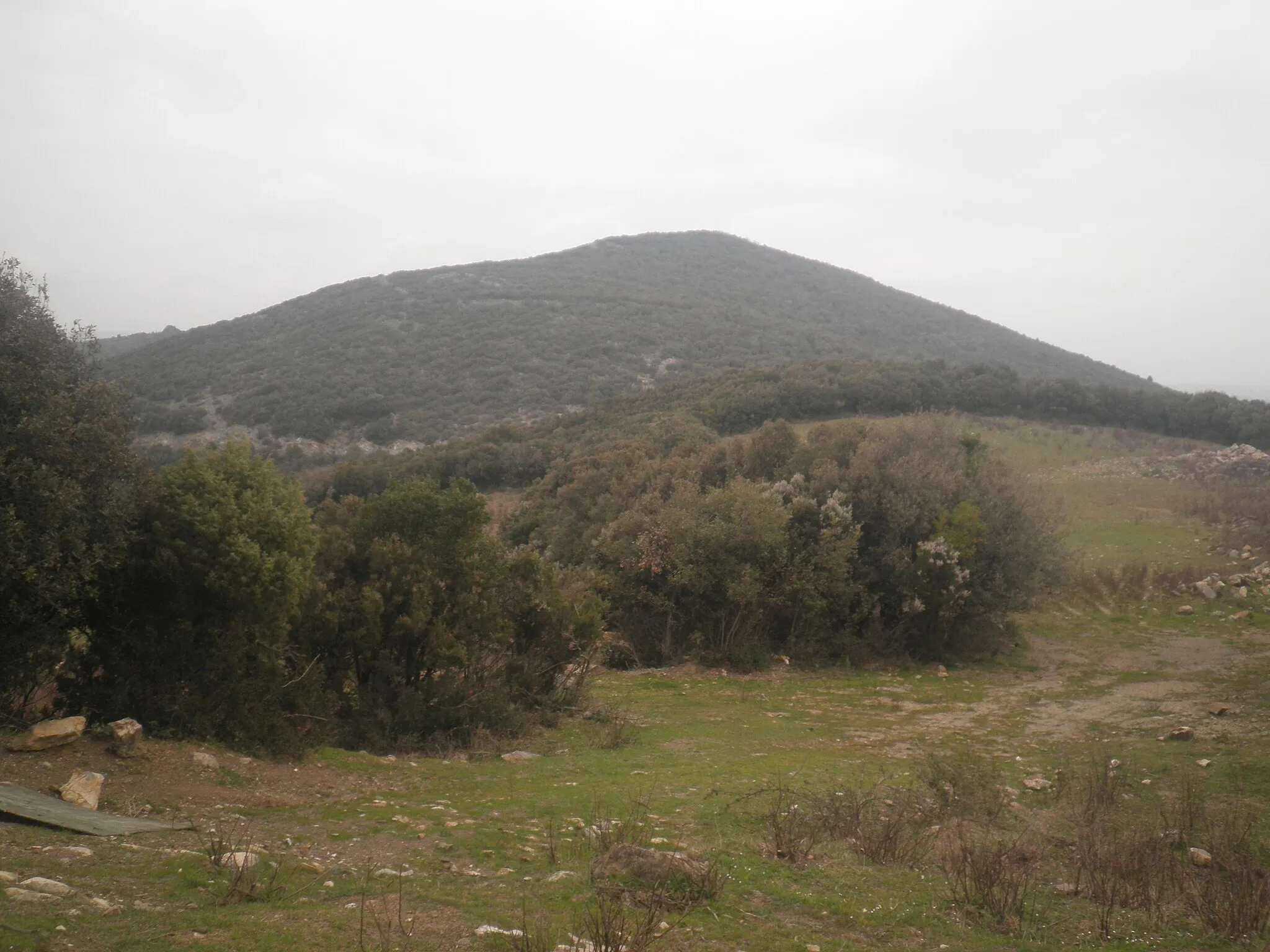 Photo showing: "Monte Carvoli" (province of Livorno, Tuscany) seen by the not far locality of "Pian dei Lupi".