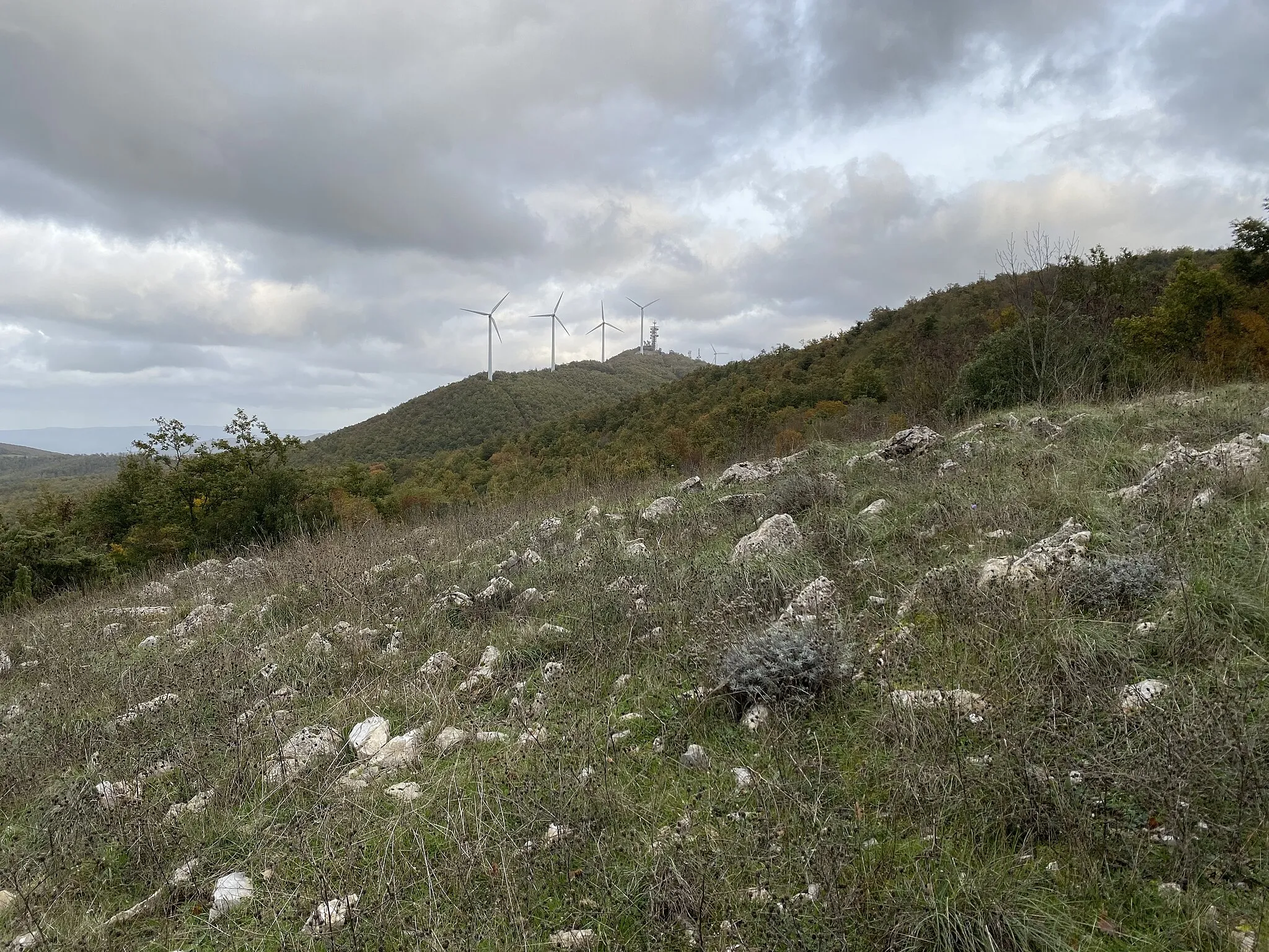 Photo showing: Il Monte Vitalba, con il relativo impianto eolico, visto dal percorso dei Sassi Bianchi, un chilometro circa dopo il Ceppo Nero.