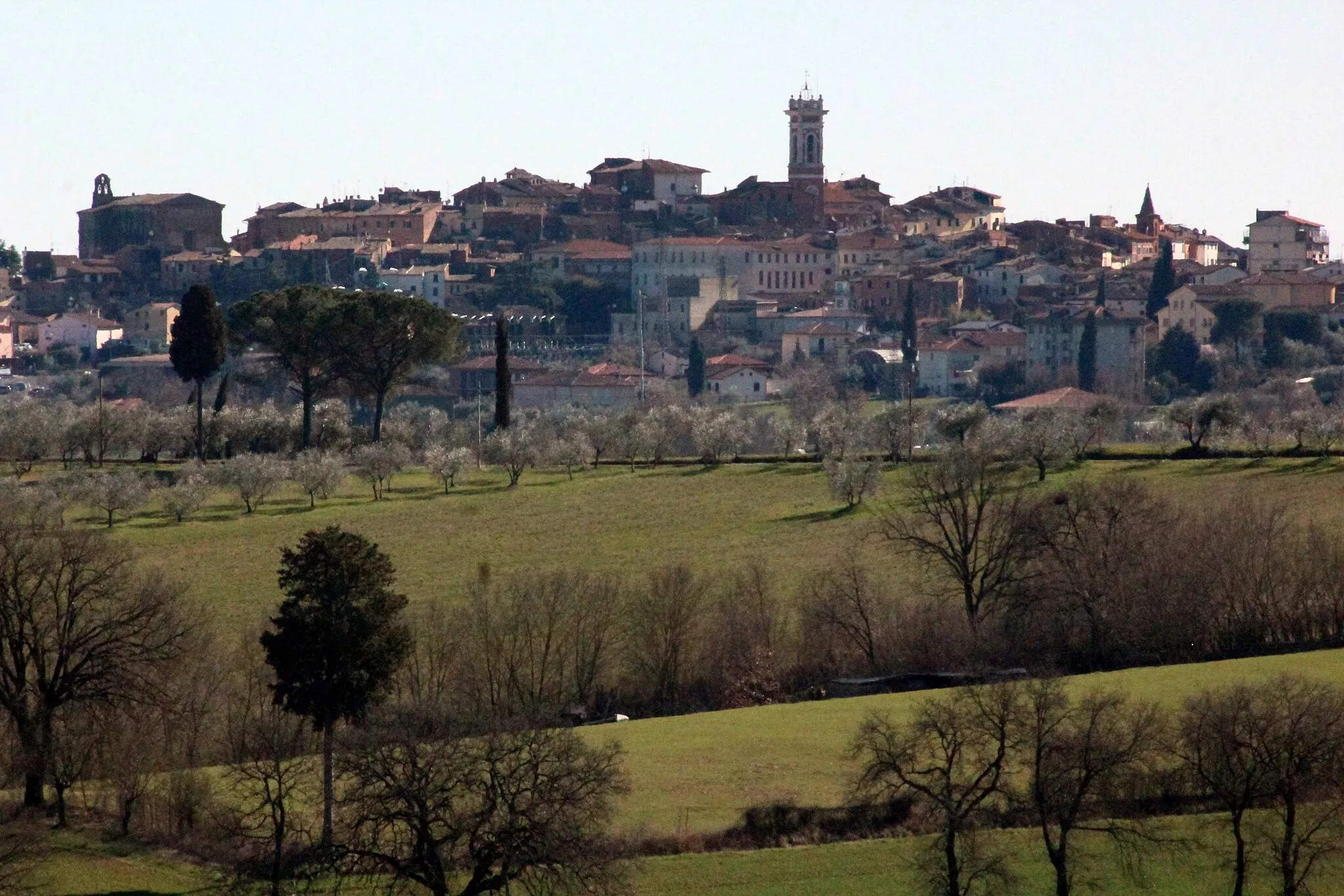 Photo showing: Panorama of Foiano della Chiana, Province of Arezzo, Tuscany, Italy