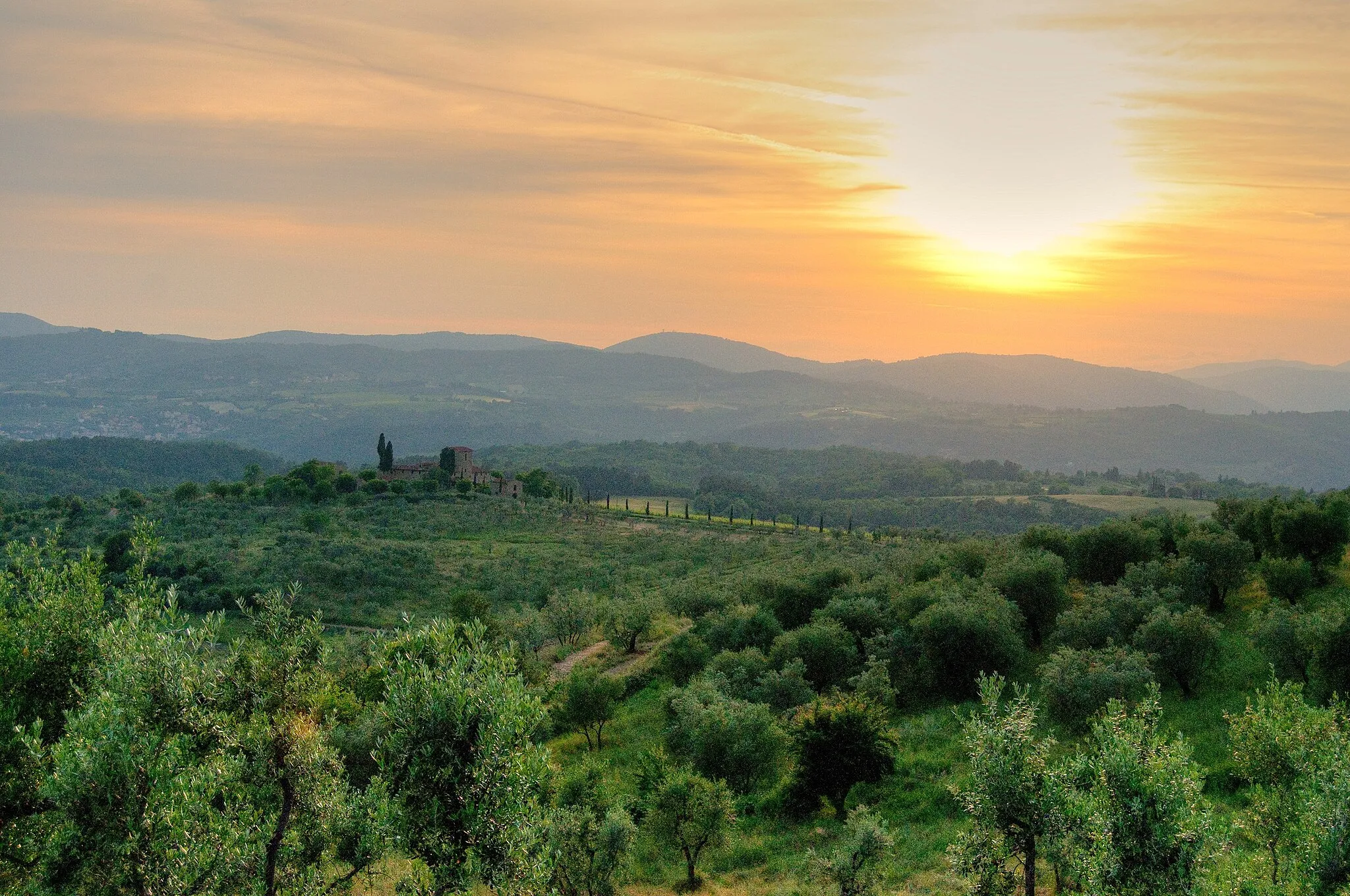 Photo showing: Countryside in Reggello