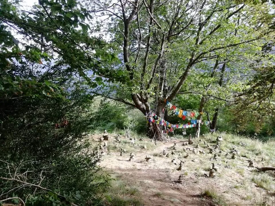 Photo showing: L'Albero con gli Occhi, sotto il quale meditava Tiziano Terzani, presso Orsigna