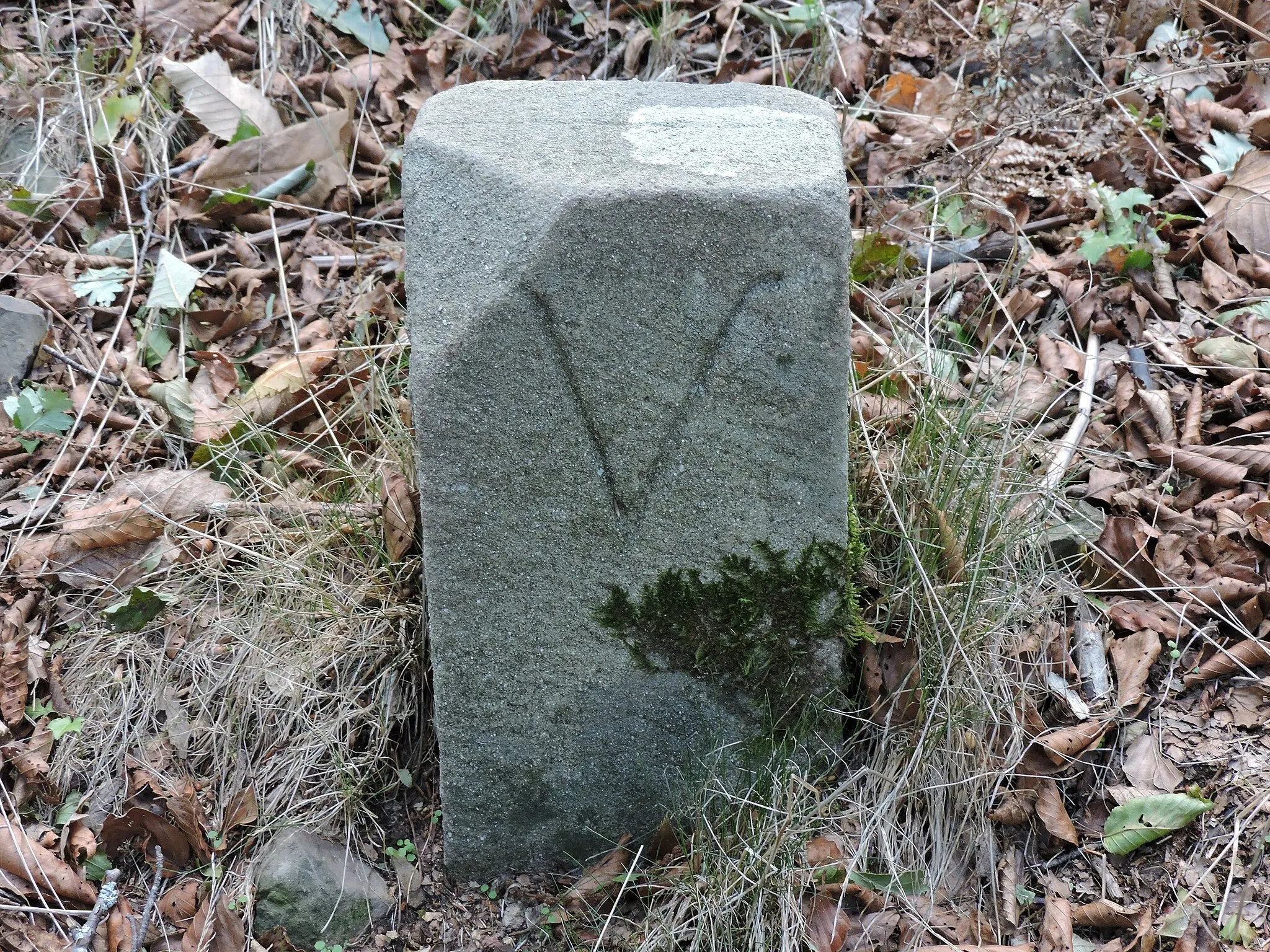 Photo showing: Cantagallo, cippo di confine col comune di Vaiano con incisione V