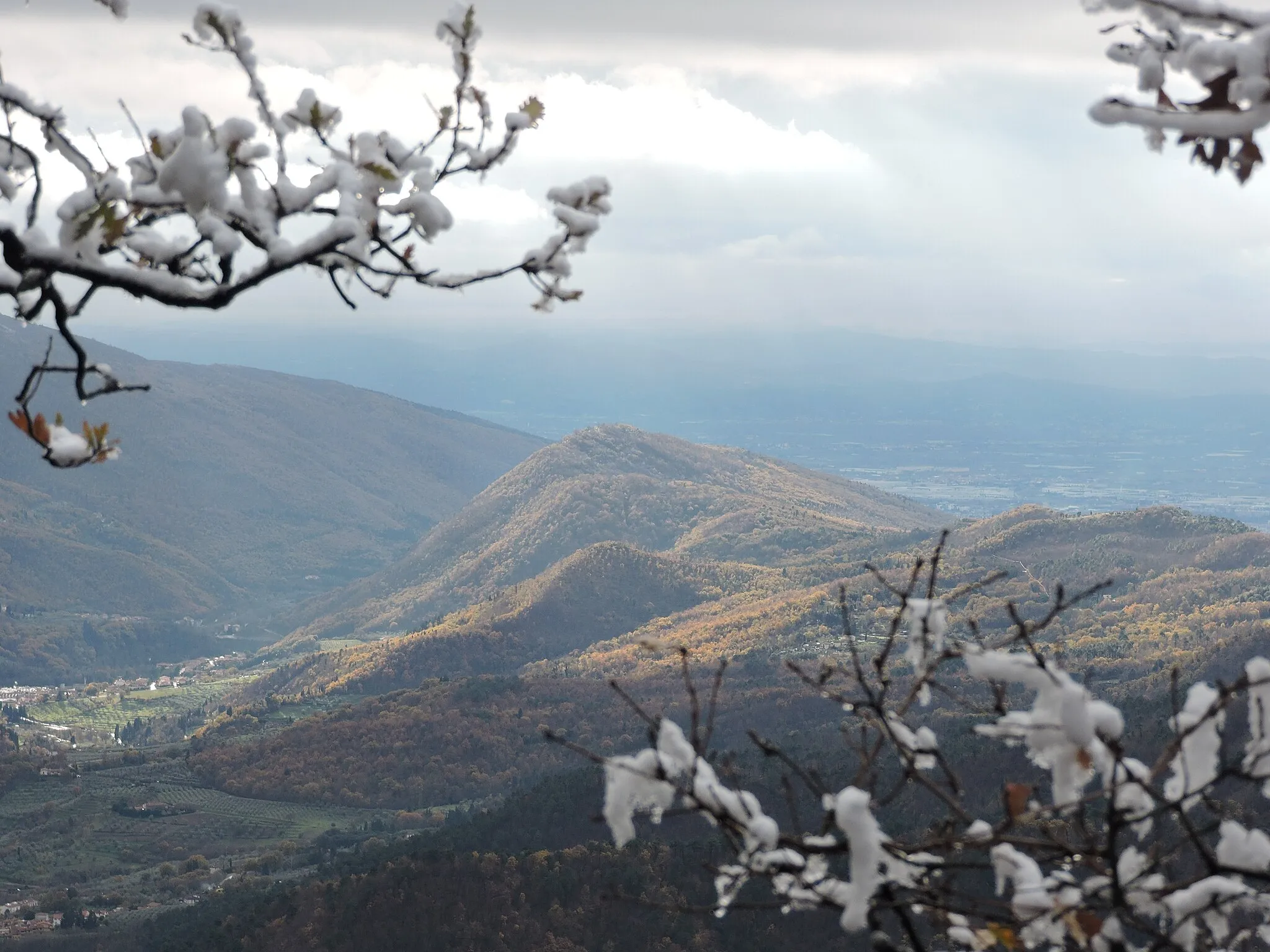 Photo showing: Cantagallo, monte Castiglioni, vista sul monte le Coste con cornice di rametti innevati