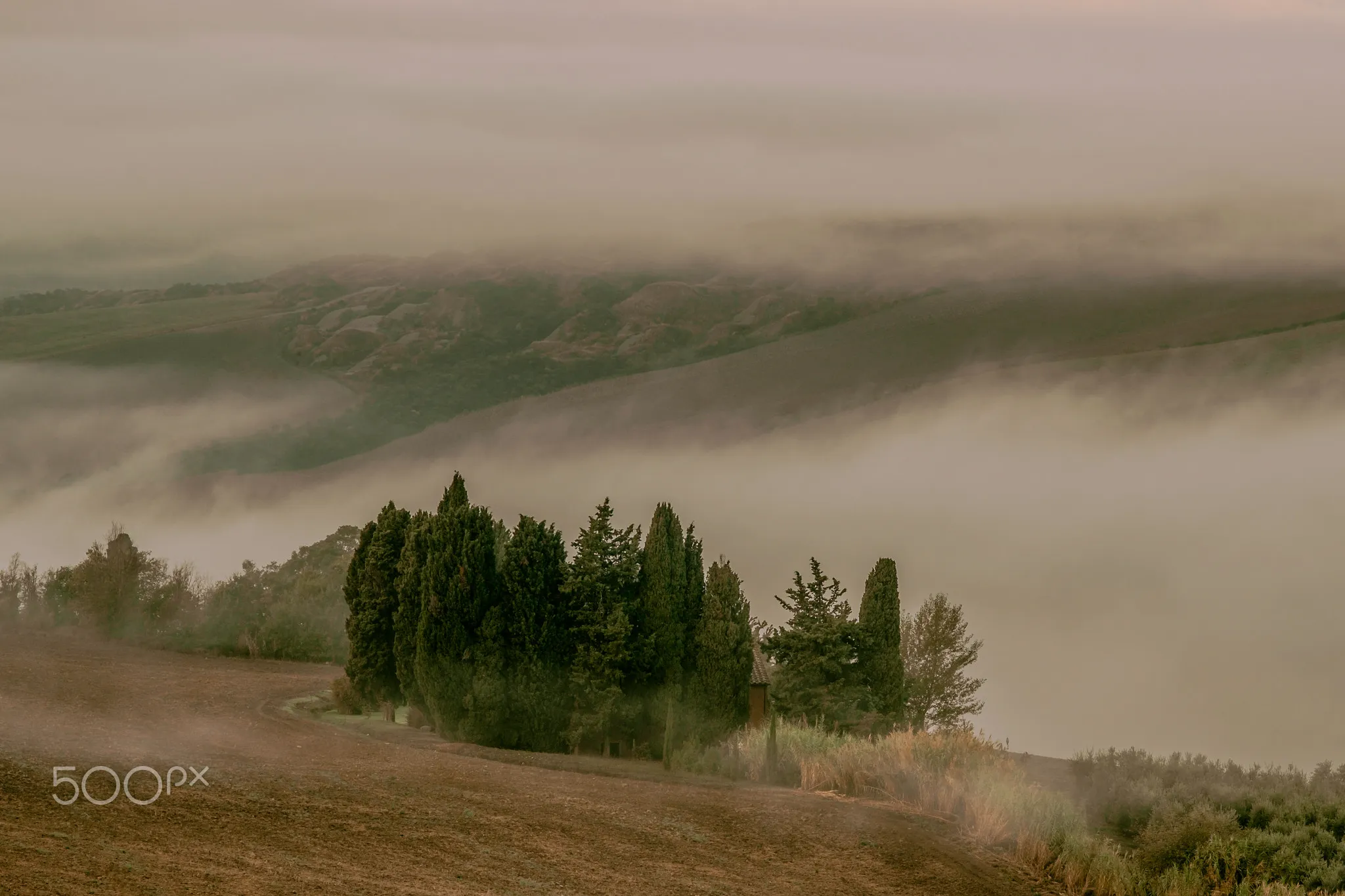 Photo showing: 500px provided description: La Foce Iii [#trees ,#fog ,#morning ,#travel ,#italy ,#colour ,#countryside ,#horizontal ,#tuscany ,#Landscape ,#Val d'Orcia ,#La Foce]