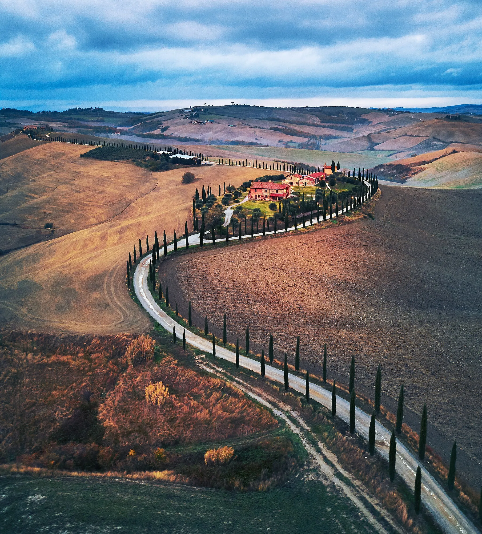 Photo showing: Cypress road in Toscana