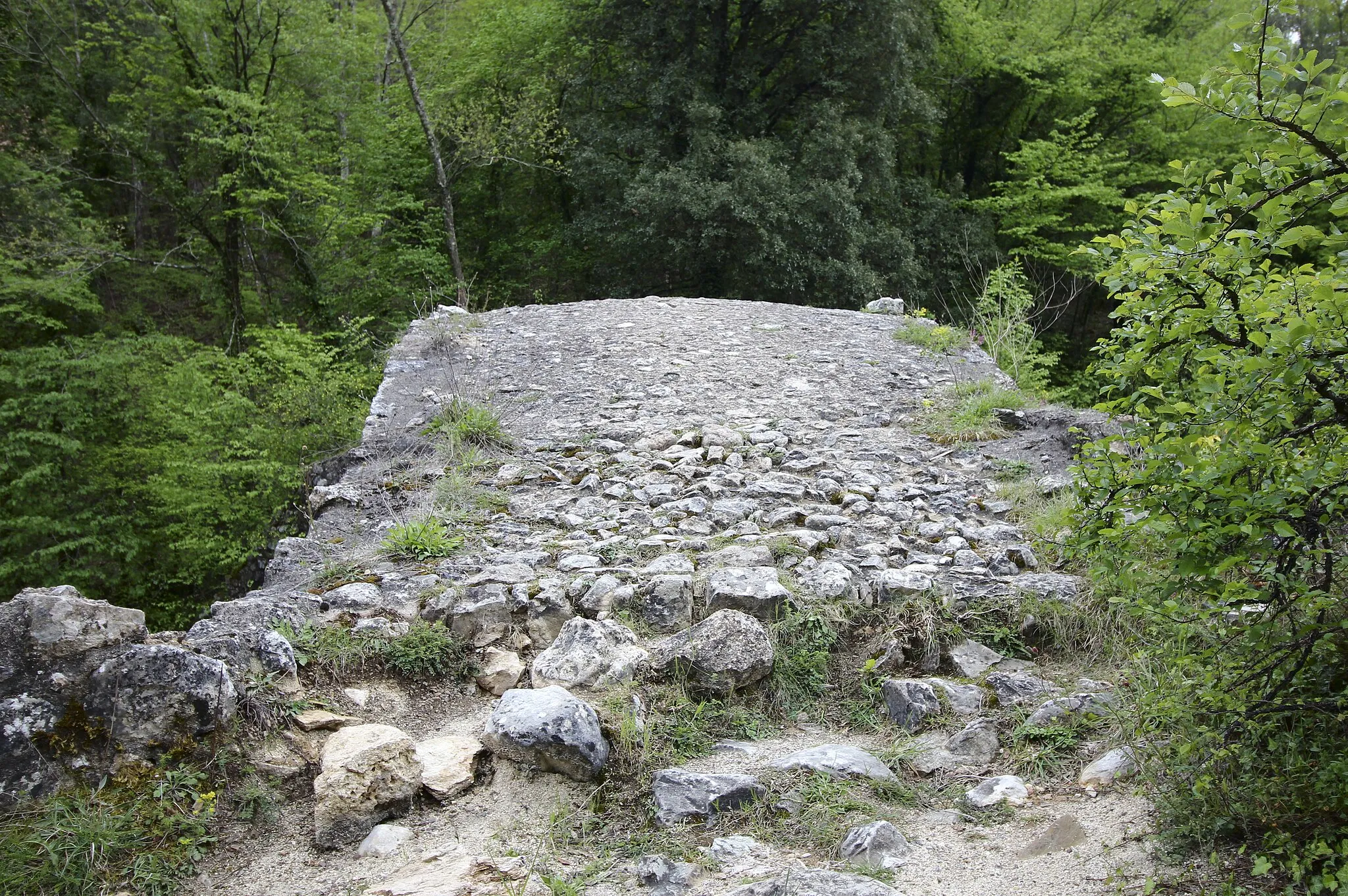 Photo showing: Bridge Ponte della Pia, near Rosia, hamlet of Sovicille, Province of Siena, Tuscany, Italy