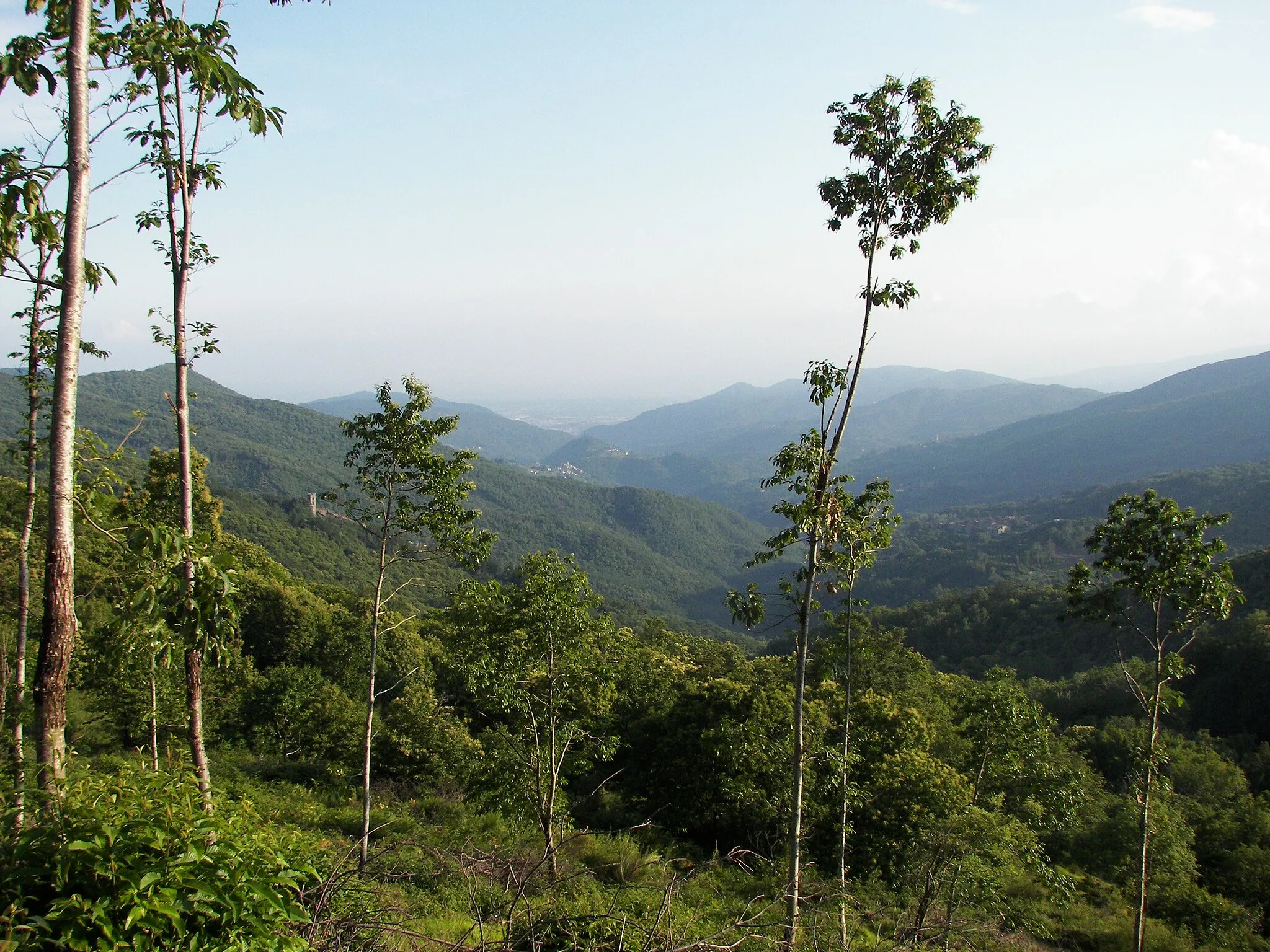 Photo showing: Penna di Lucchio