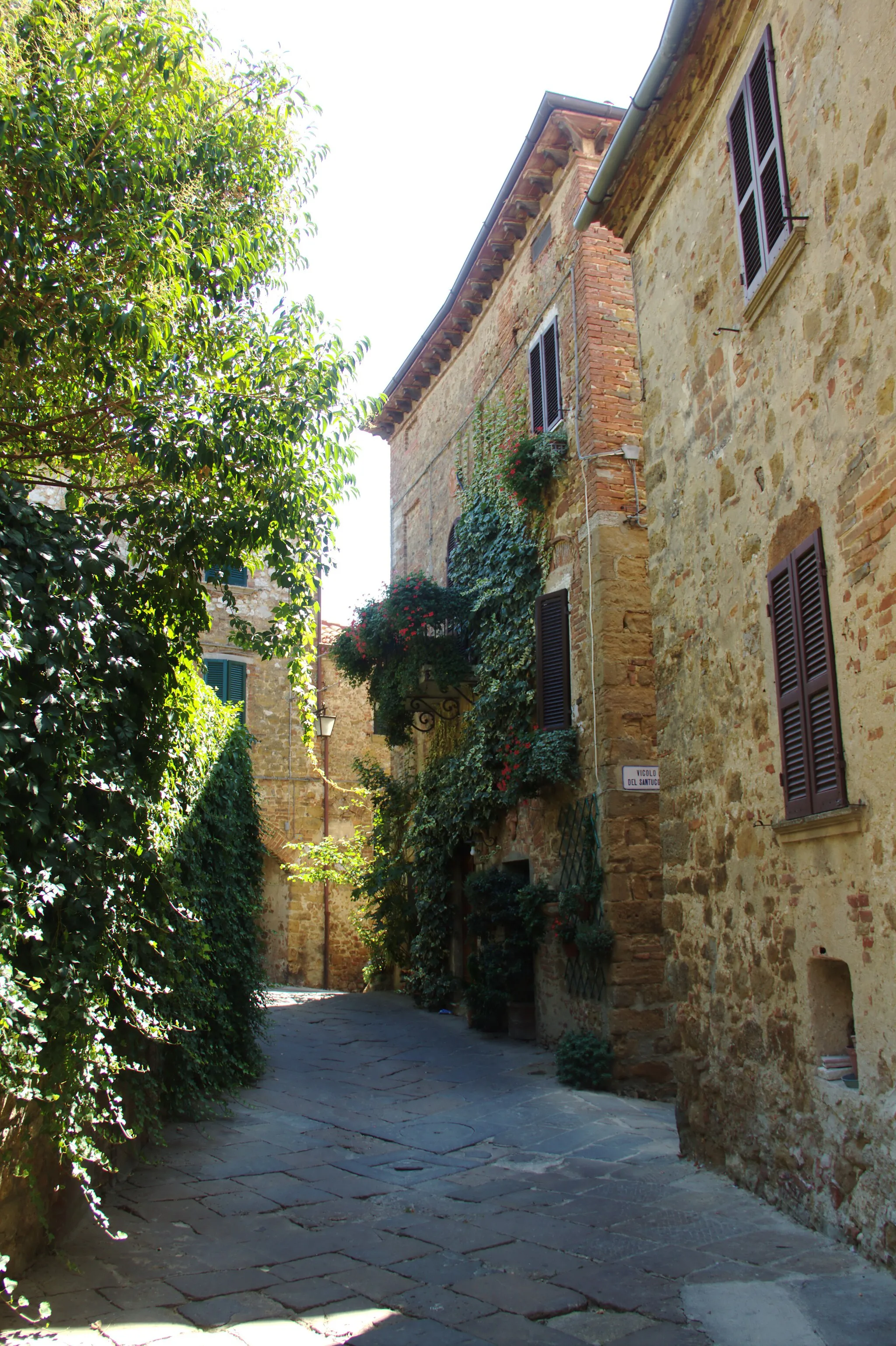 Photo showing: Castelmuzio street