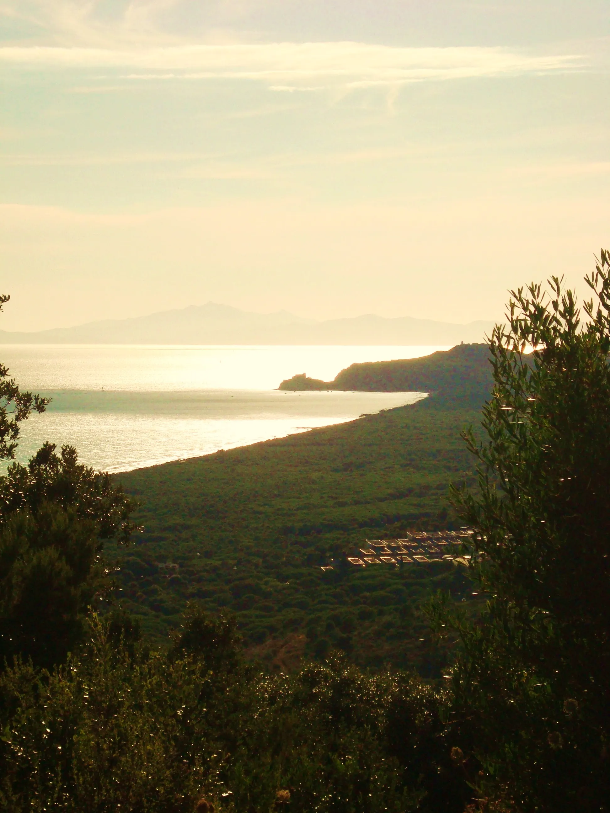 Photo showing: View of Roccamare pinewood and castle of Rocchette