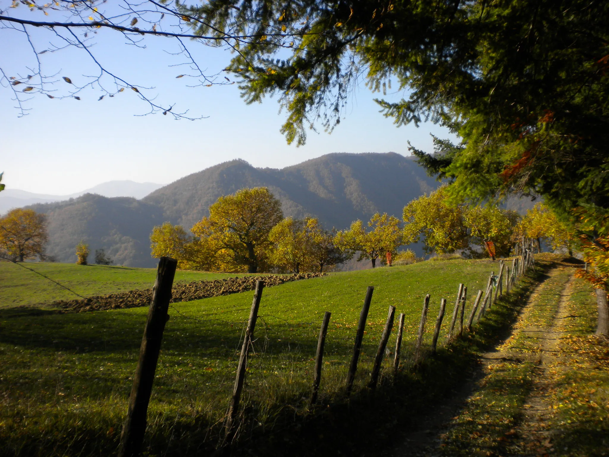 Photo showing: La strada di casa