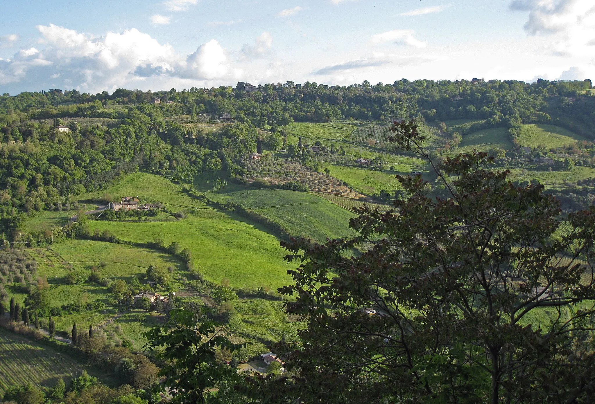 Photo showing: View of green valley and hillside, looking SE from clifftops on south side of the hill town of Orvieto, Italy.