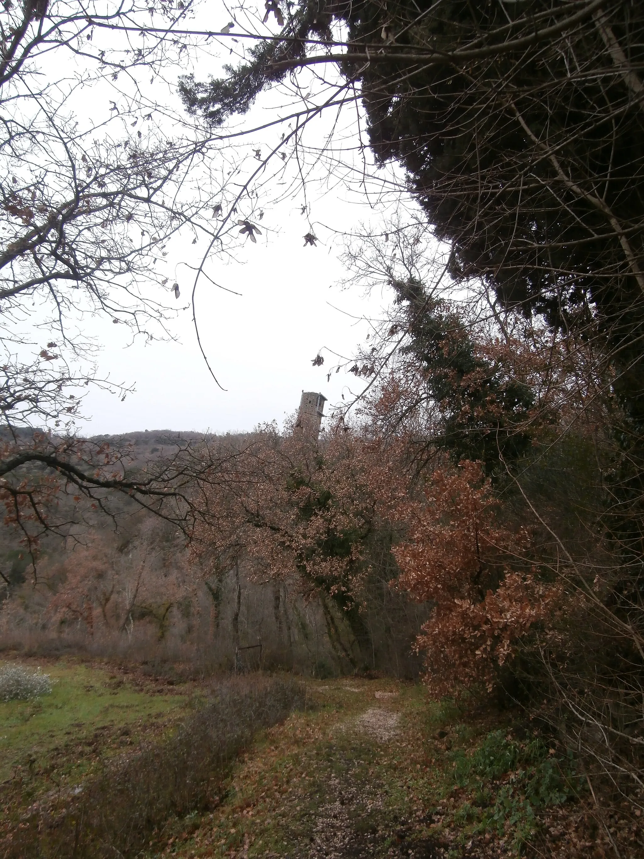 Photo showing: Strada per la torre pendente