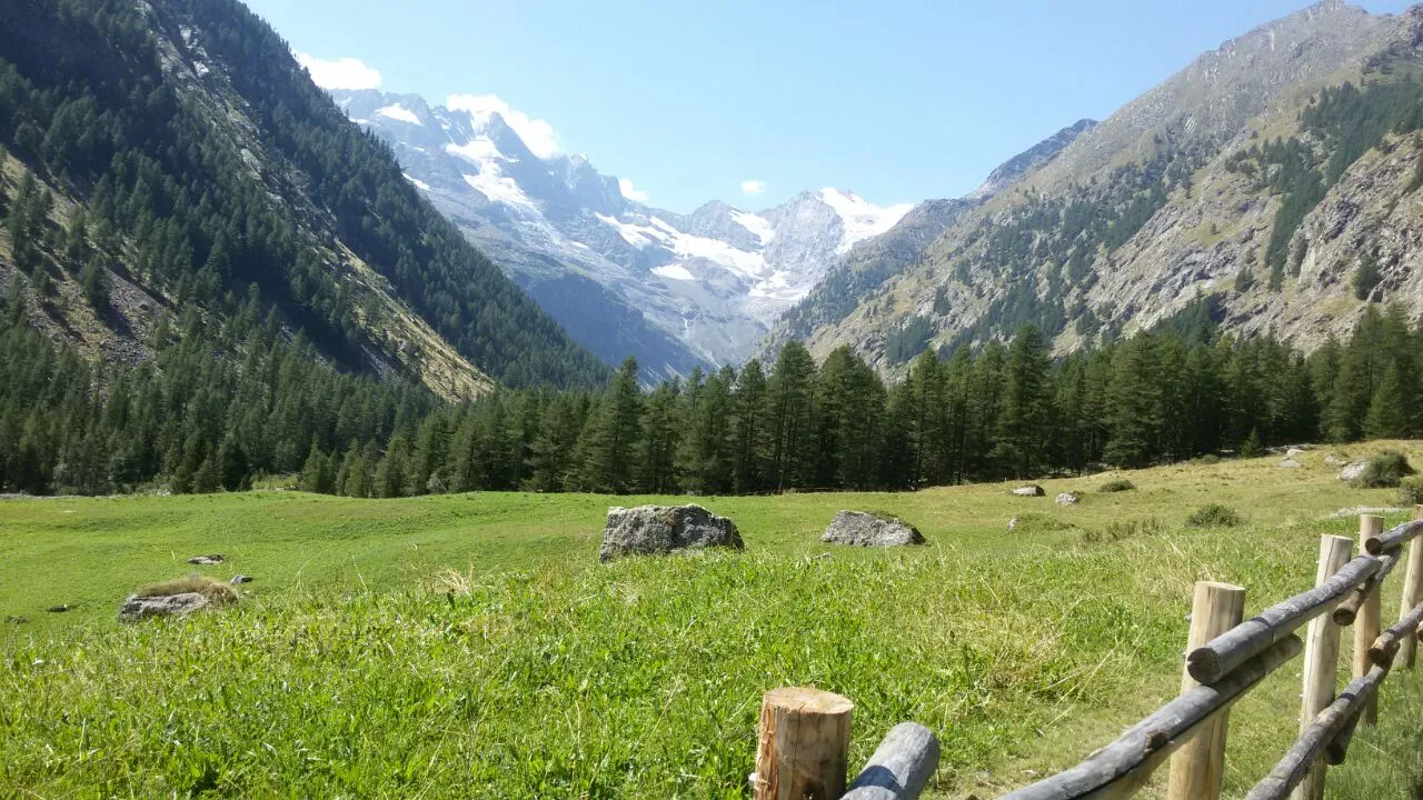 Photo showing: Les prés de Saint-Ours et le Grand-Paradis