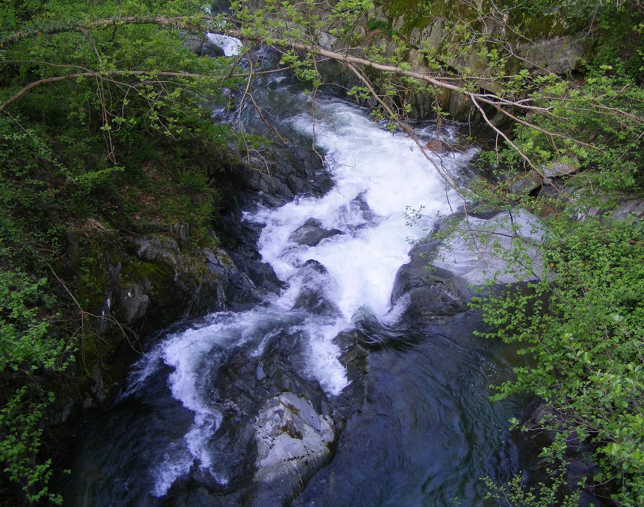 Photo showing: Piova creek between Colleretto Castelnuovo and Cintano (TO, Italy)