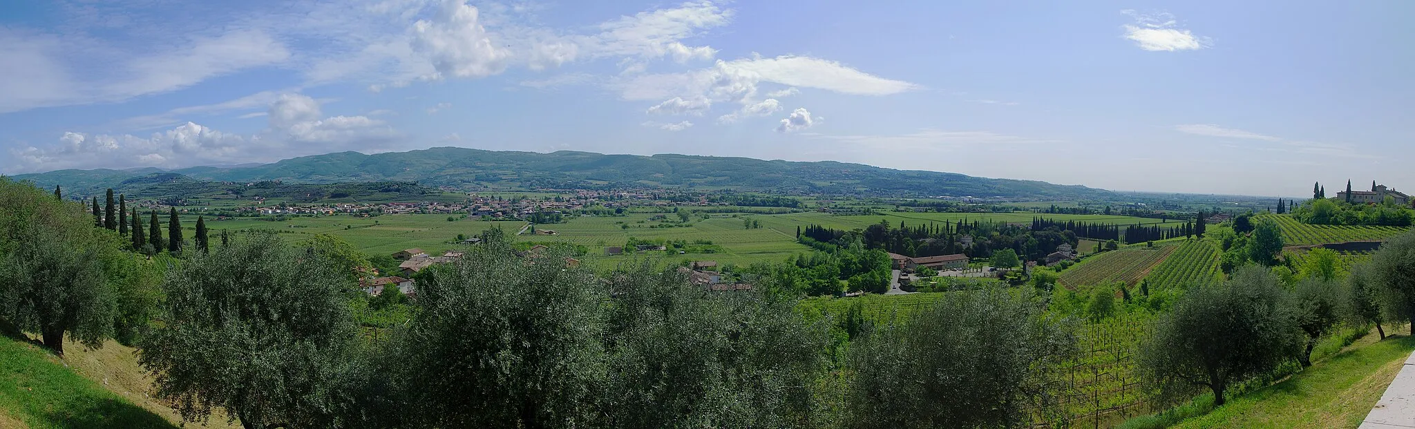 Photo showing: Panoramic view from the hill of Castelrotto (San Pietro in Cariano Valpolicella VR ITALY) to: Pedemonte, Arbizzano, Cengia, Campagnole, Quar, Montericco - Renaissance Palladian villa in the distance Venetian Renaissance sixteenth century AD - Olive (Olea europaea) - vines of varieties: Corvina Rondinella Molinara corvinone Dindarella Oseleta croatina - a morning in April 2014 Spring - amplitude about 180 ° Panoramic photo by combining about 5 or 6 photo with hugin for the Mamme della Valpolicella (Moms of the Valpolicella, against the overbuilding and speculation of Valpolicella) - photographer Paolo Villa - camera Pentax K-5 II - lens Tamron SP AF 17-50mm F2, 8