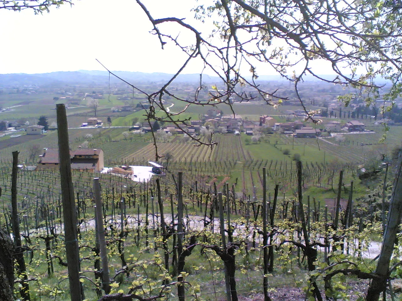 Photo showing: Solighetto -- vista dalla frasca