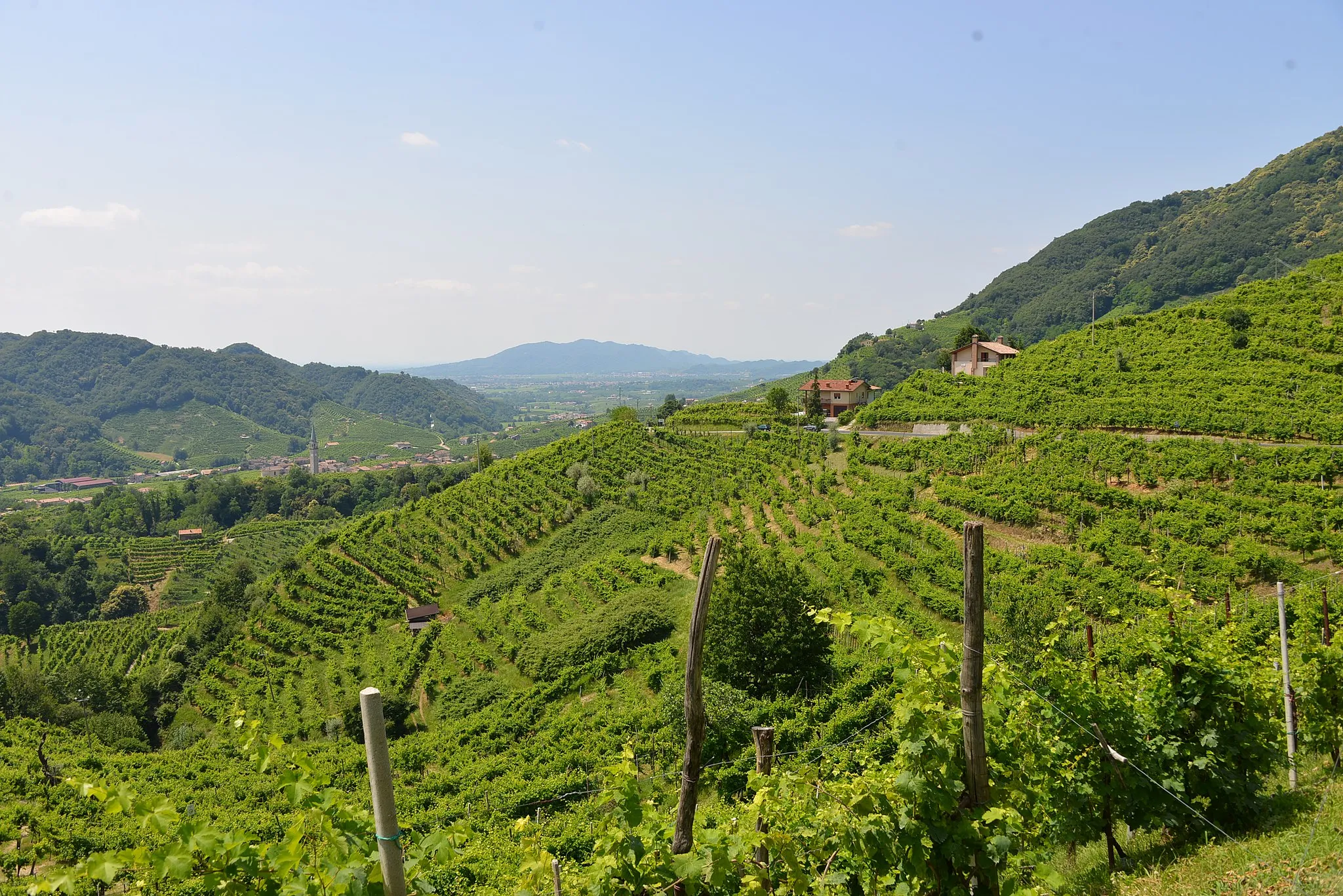 Photo showing: Vista sui vigneti e i paesaggi del sito UNESCO "Le Colline del Prosecco di Conegliano e Valdobbiadene"