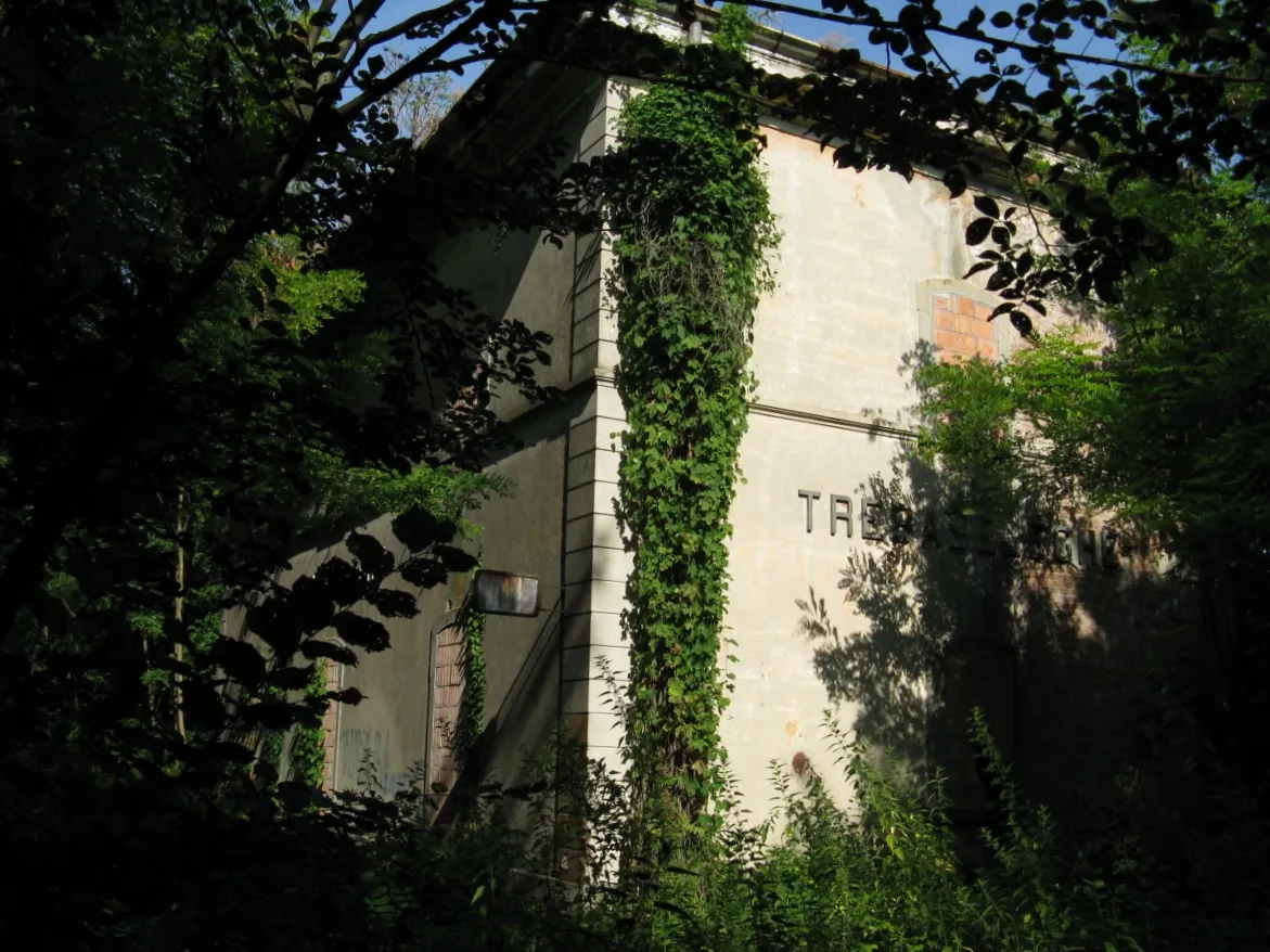 Photo showing: La vecchia stazione di Trebaseleghe, avvolta dalla boscaglia
