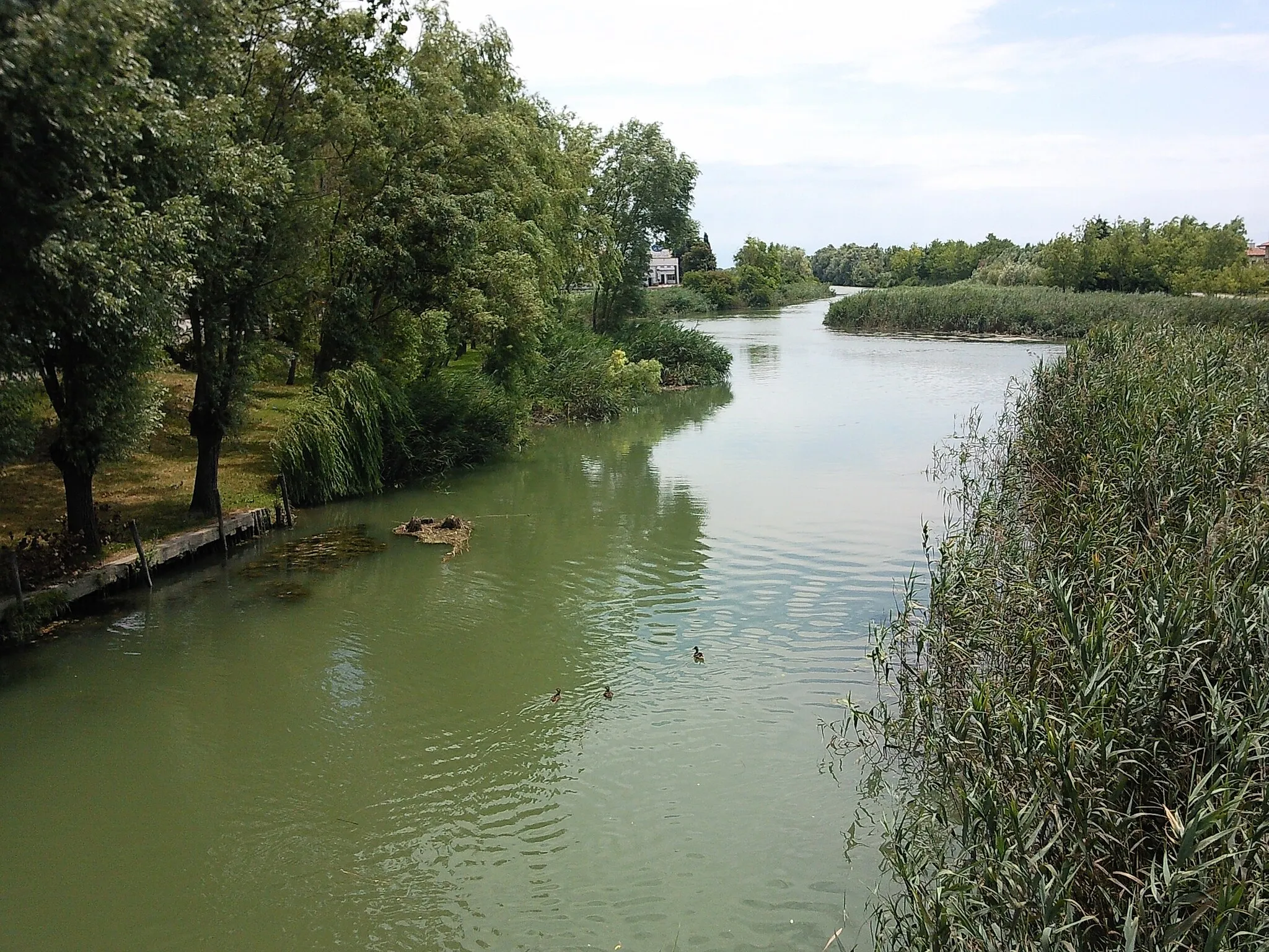 Photo showing: Fiume sile nella zona di Caposile