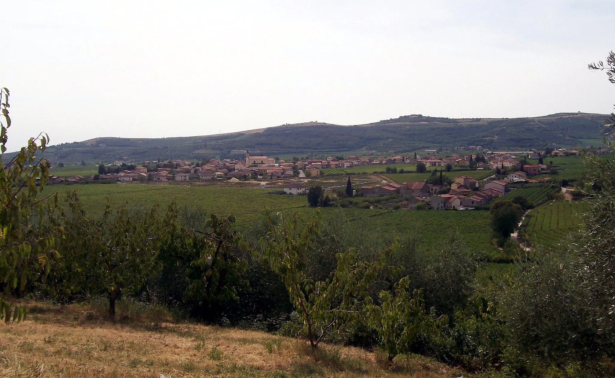 Photo showing: Veduta di Cellore d'Illasi dalle colline che dividono la Val d'Illasi dalla Val Tramigna.