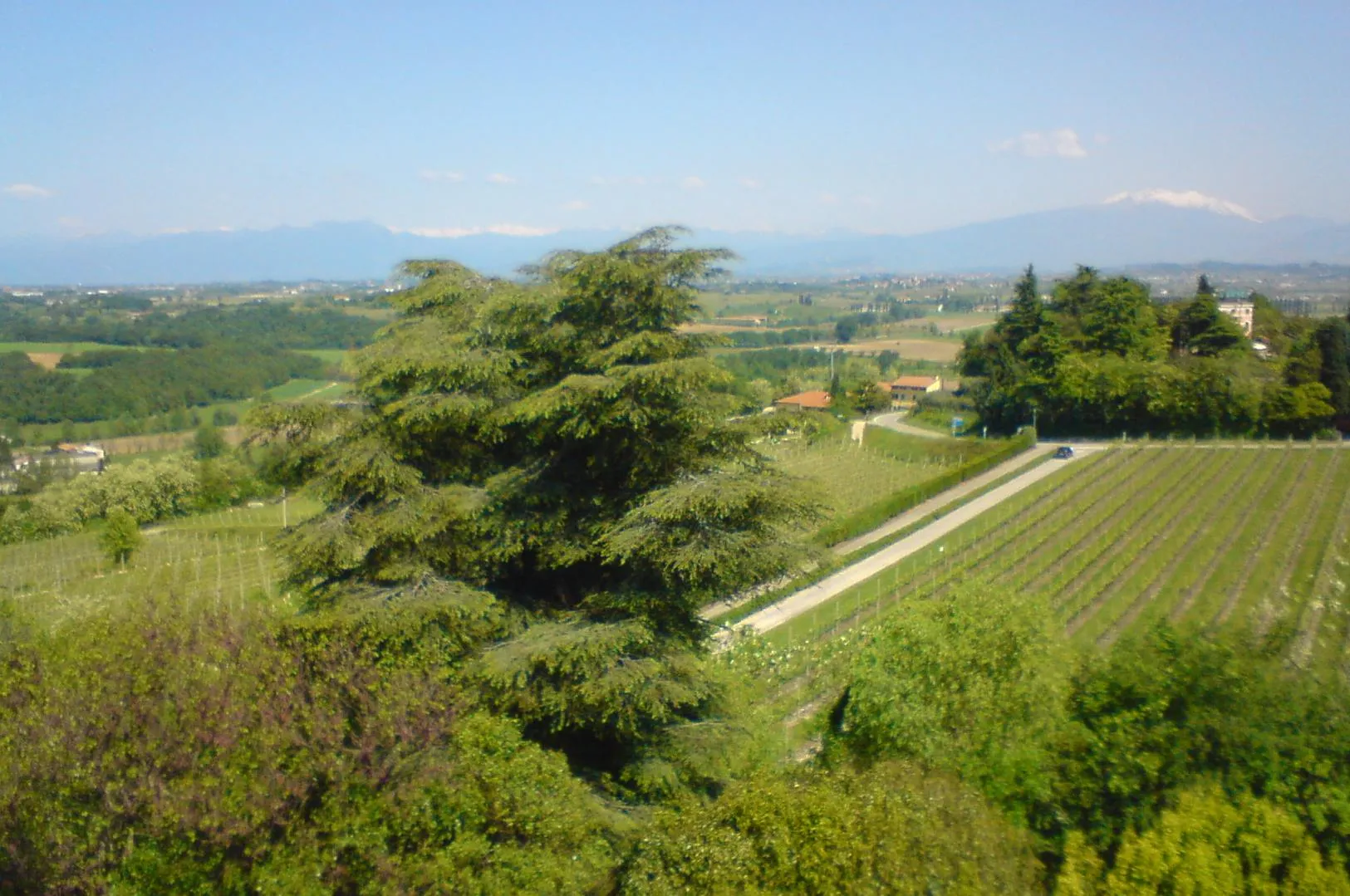 Photo showing: Blick vom Beinhaus in Custoza Richtung Alpen

Ossario di Custoza