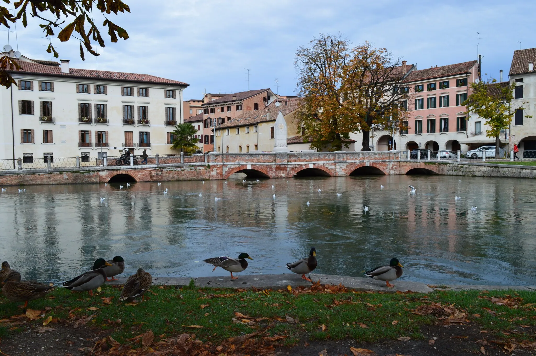 Photo showing: The bridge in Treviso that named after the great Italian poet