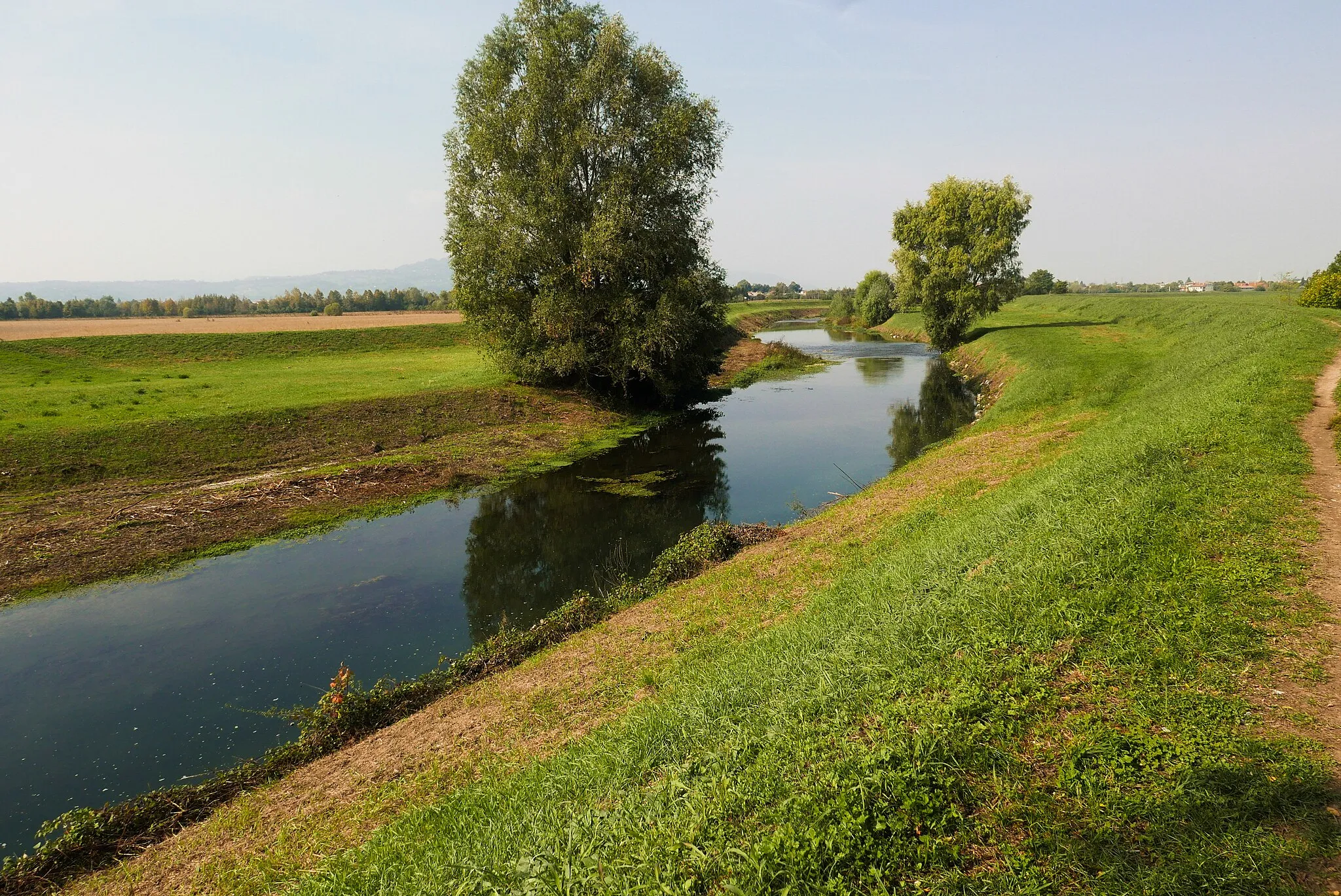 Photo showing: Argine del Bacchiglione vicino a Polegge