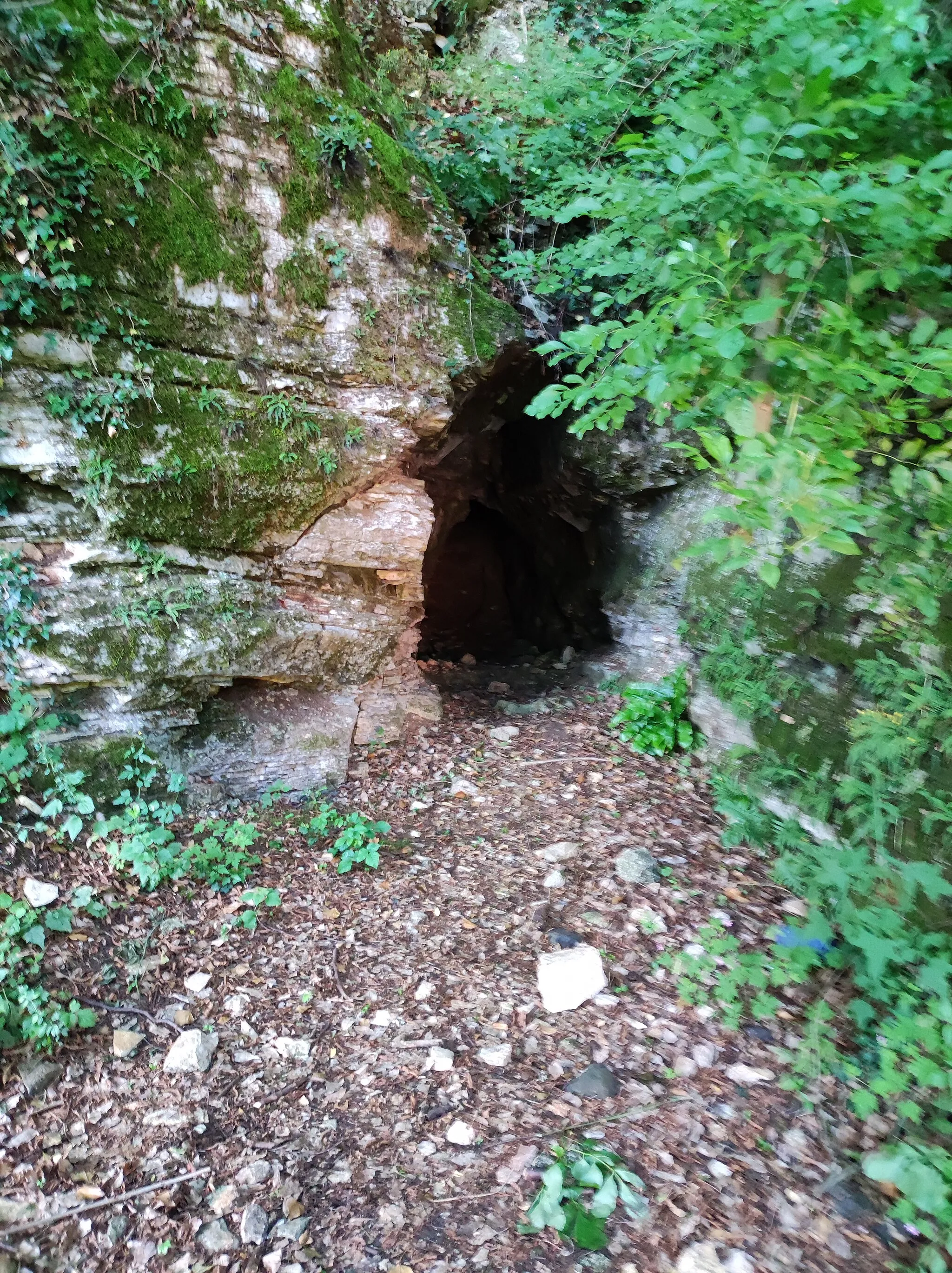 Photo showing: Grotta del Vento Chiampo 01
