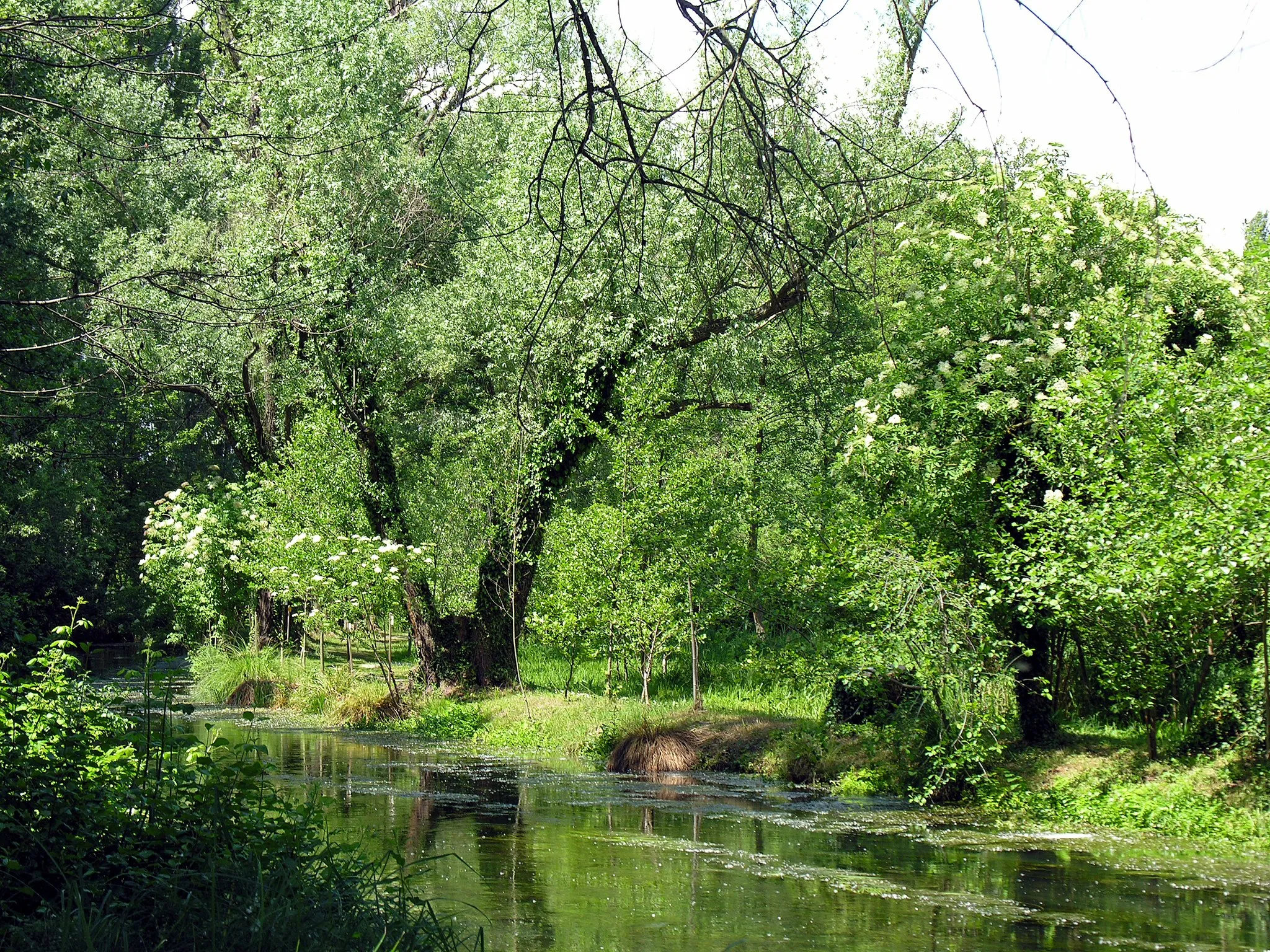 Photo showing: Scorcio dell'oasi di Cervara (Santa Cristina di Quinto di Treviso)