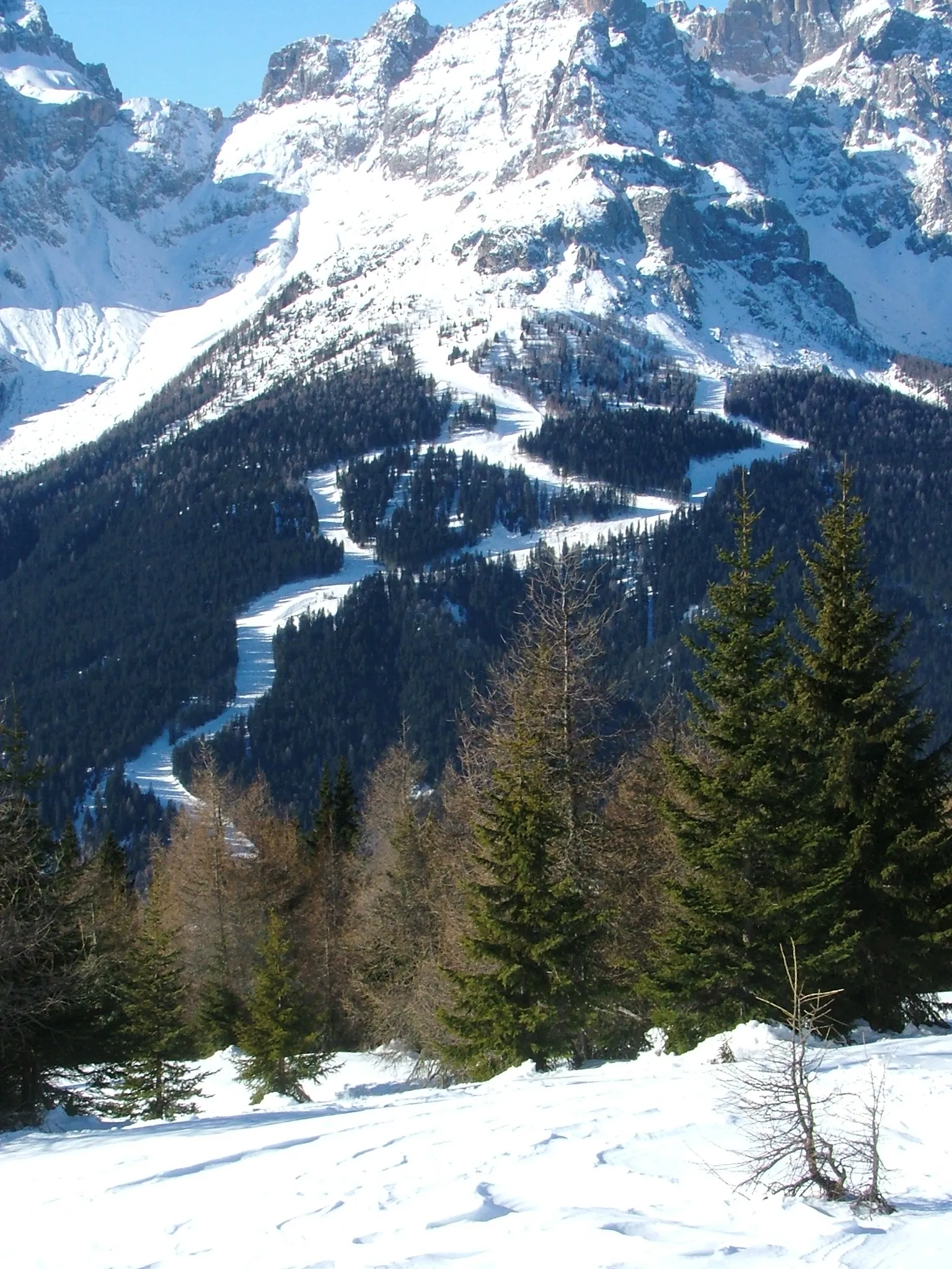 Photo showing: Piste di sci di Padola Comelico Superiore, Belluno, Veneto, Dolomites, Italy