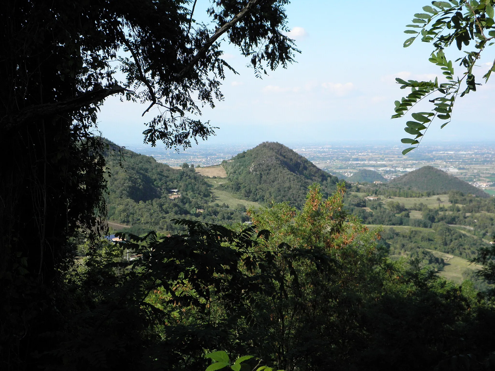 Photo showing: Passo Fiorine, depressione tra il monte Madonna e il monte Grande sui Colli Euganei: vista (più o meno) verso nord.